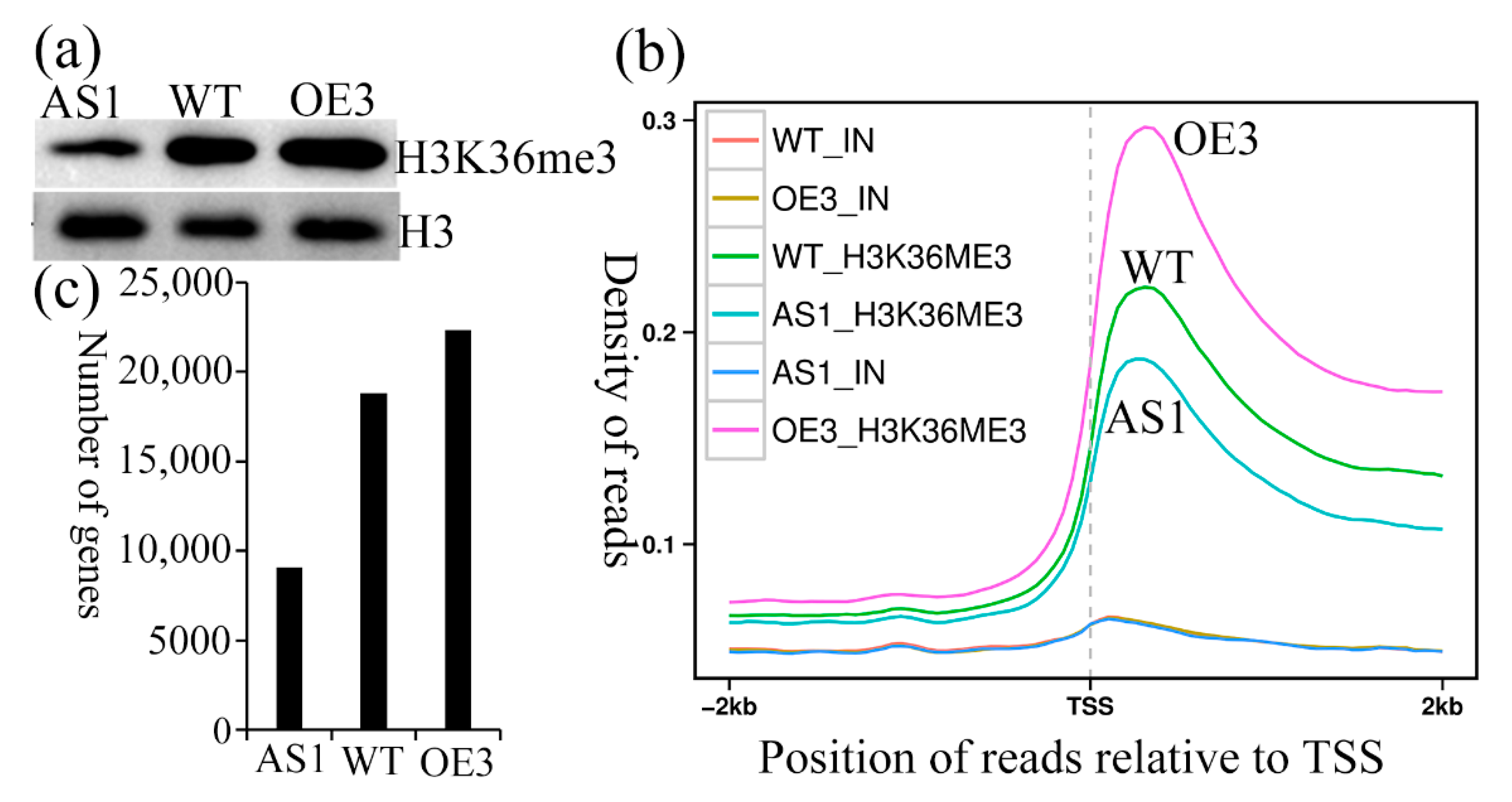 Ijms 23 07458 g005 550