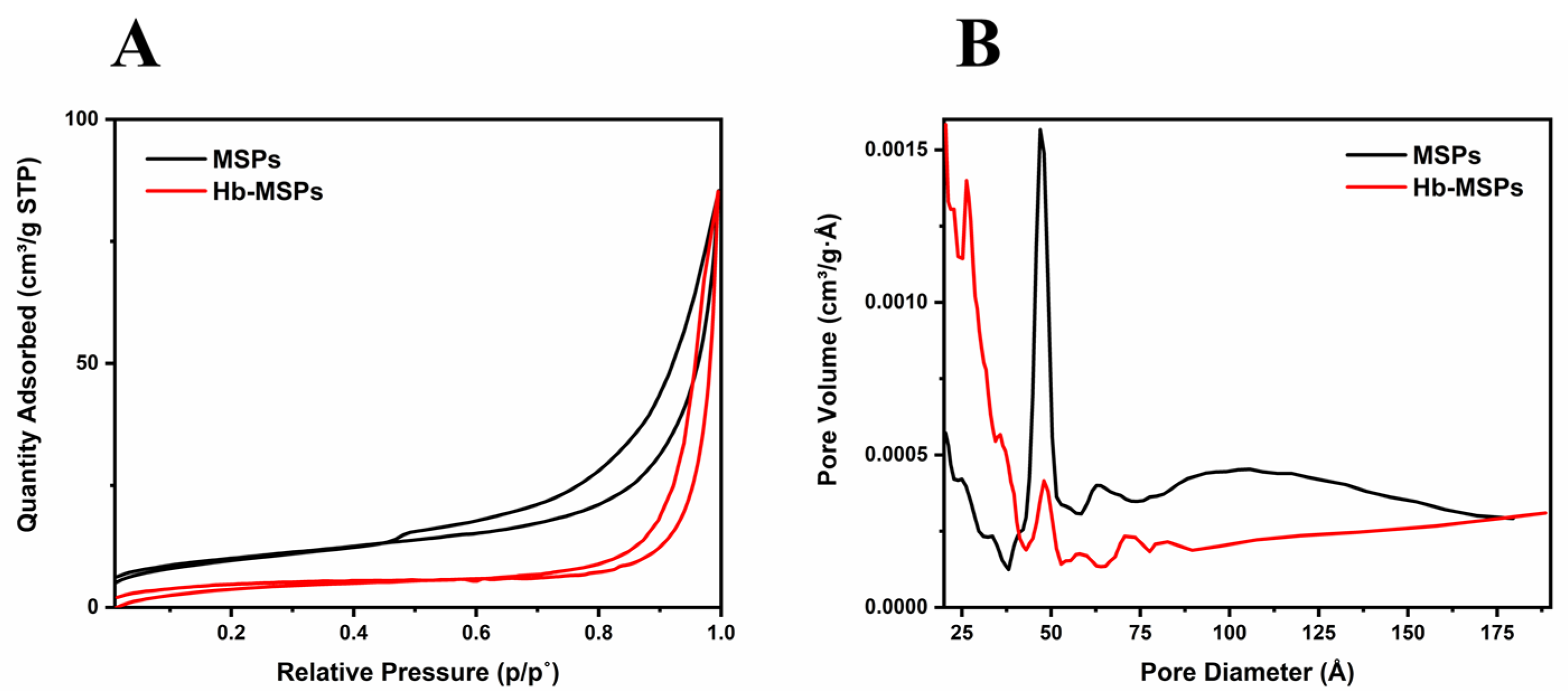 Ijms 23 07460 g002 Ijms 23 07460 g002