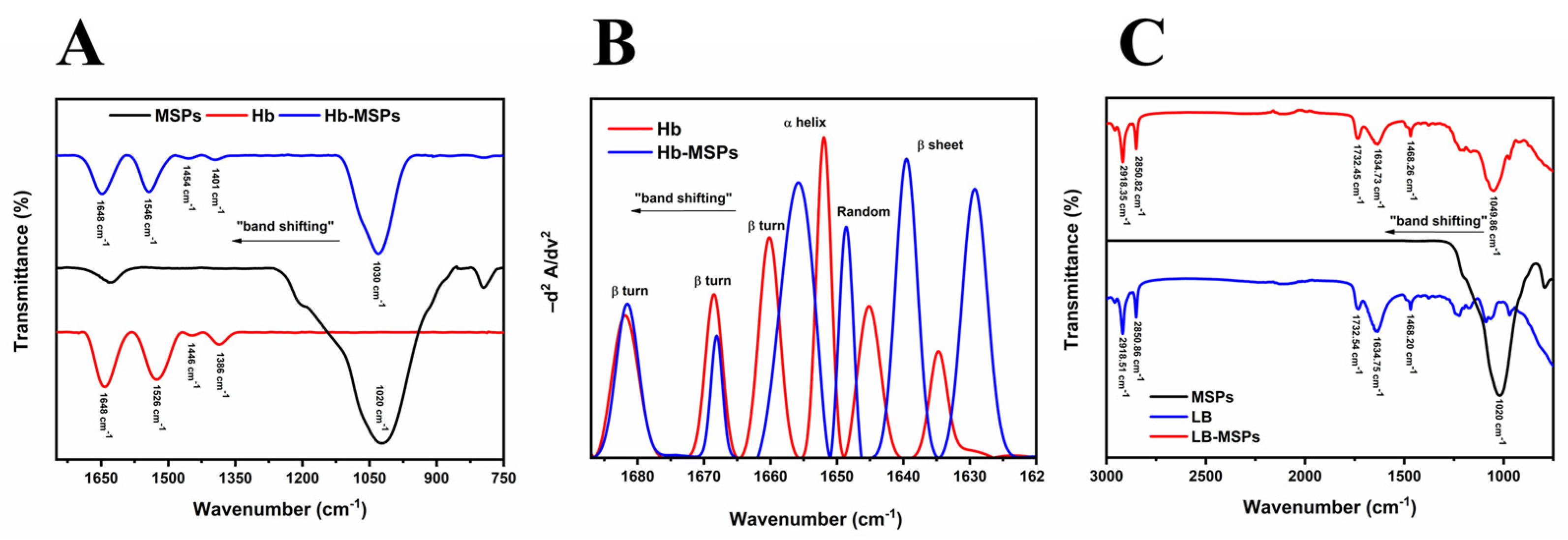 Ijms 23 07460 g007 Ijms 23 07460 g007