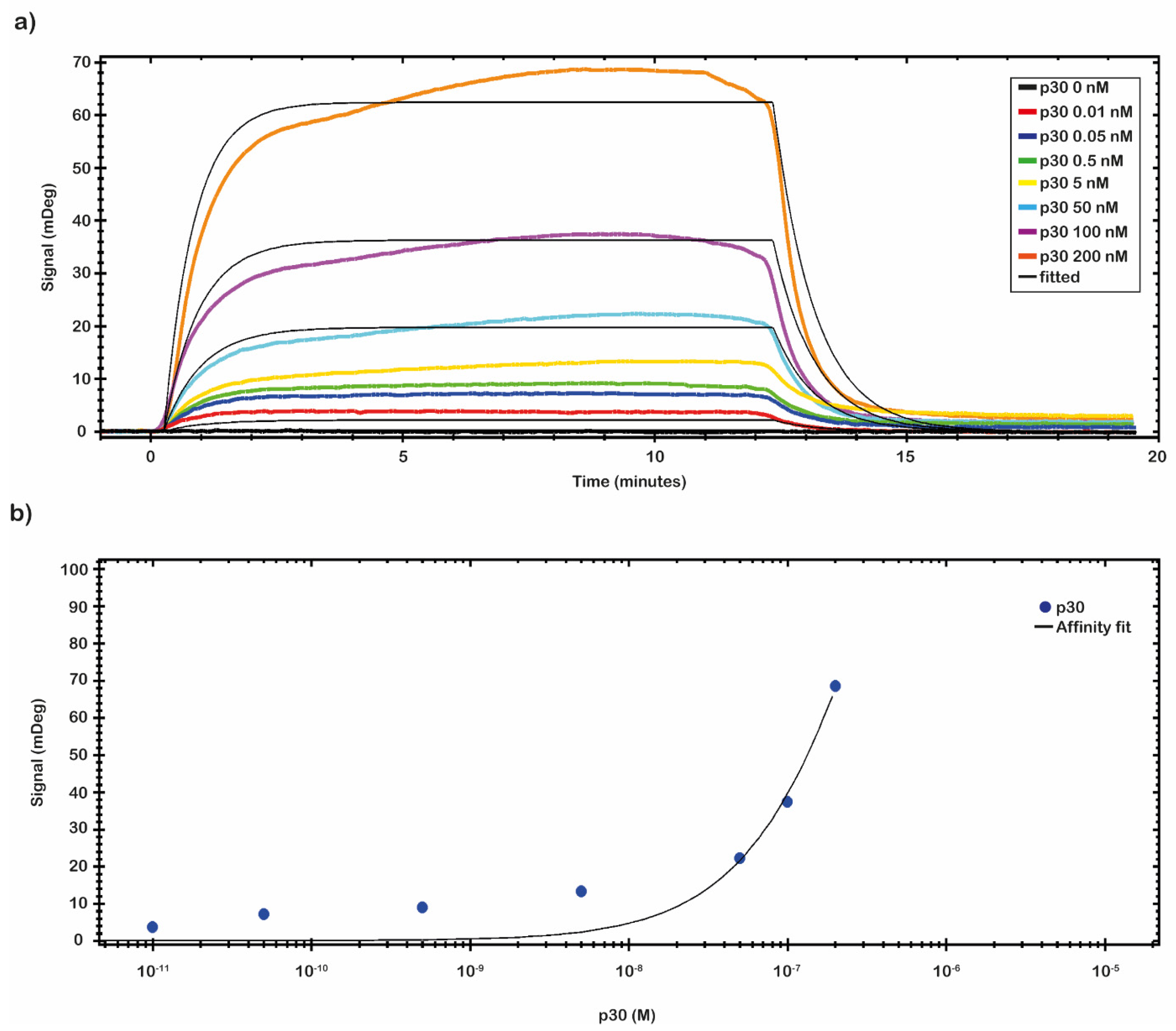 Ijms 23 07463 g004 550