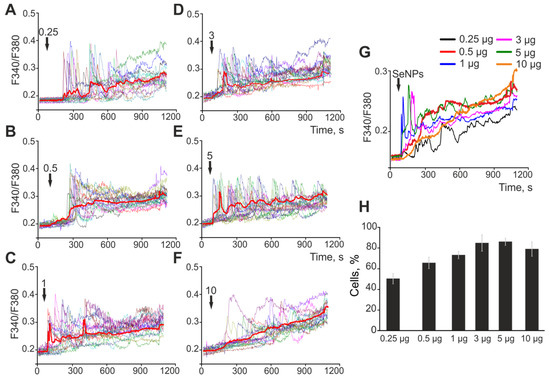 Size-Dependent Cytoprotective Effects of Selenium