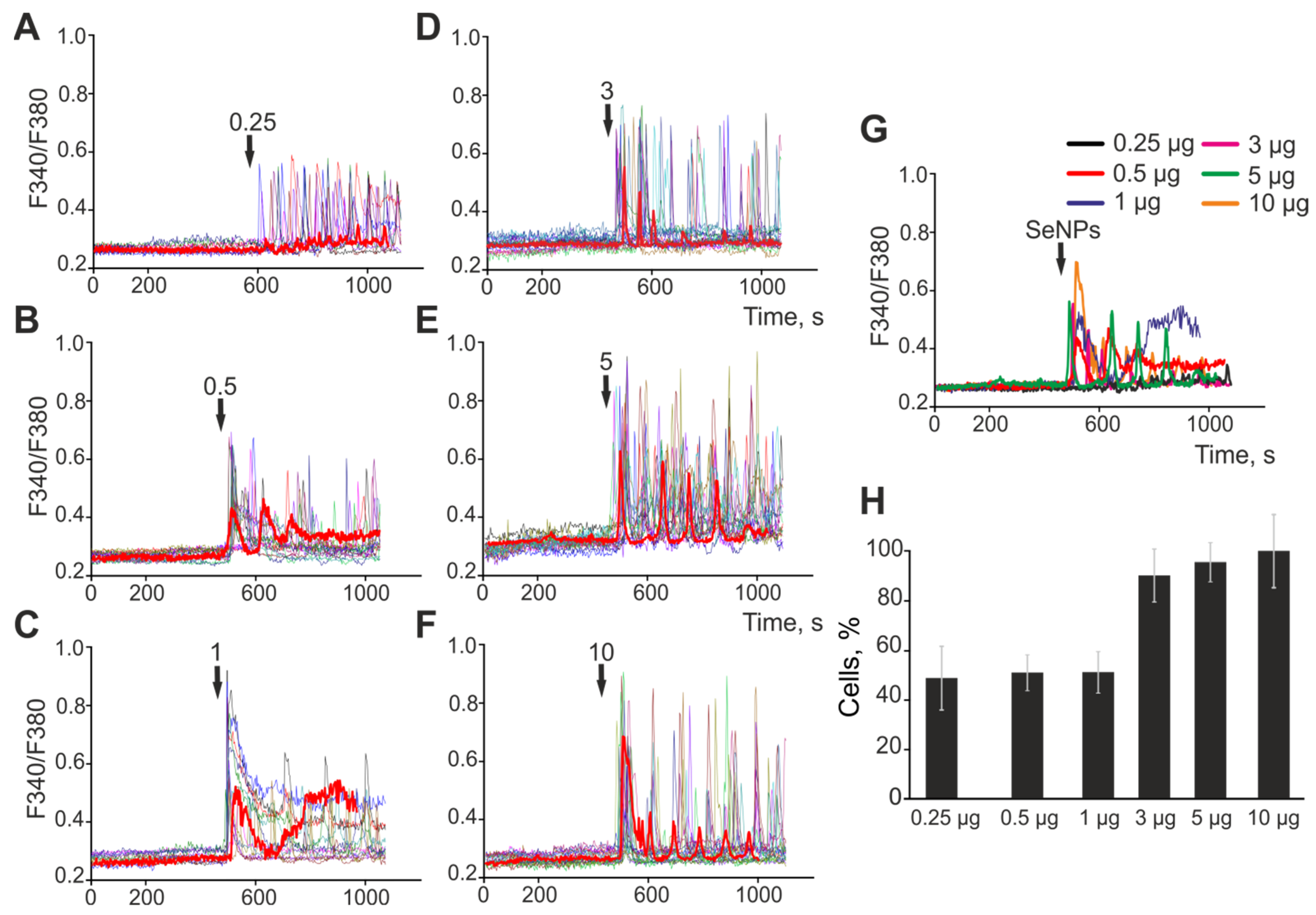 Ijms 23 07464 g002 Ijms 23 07464 g002