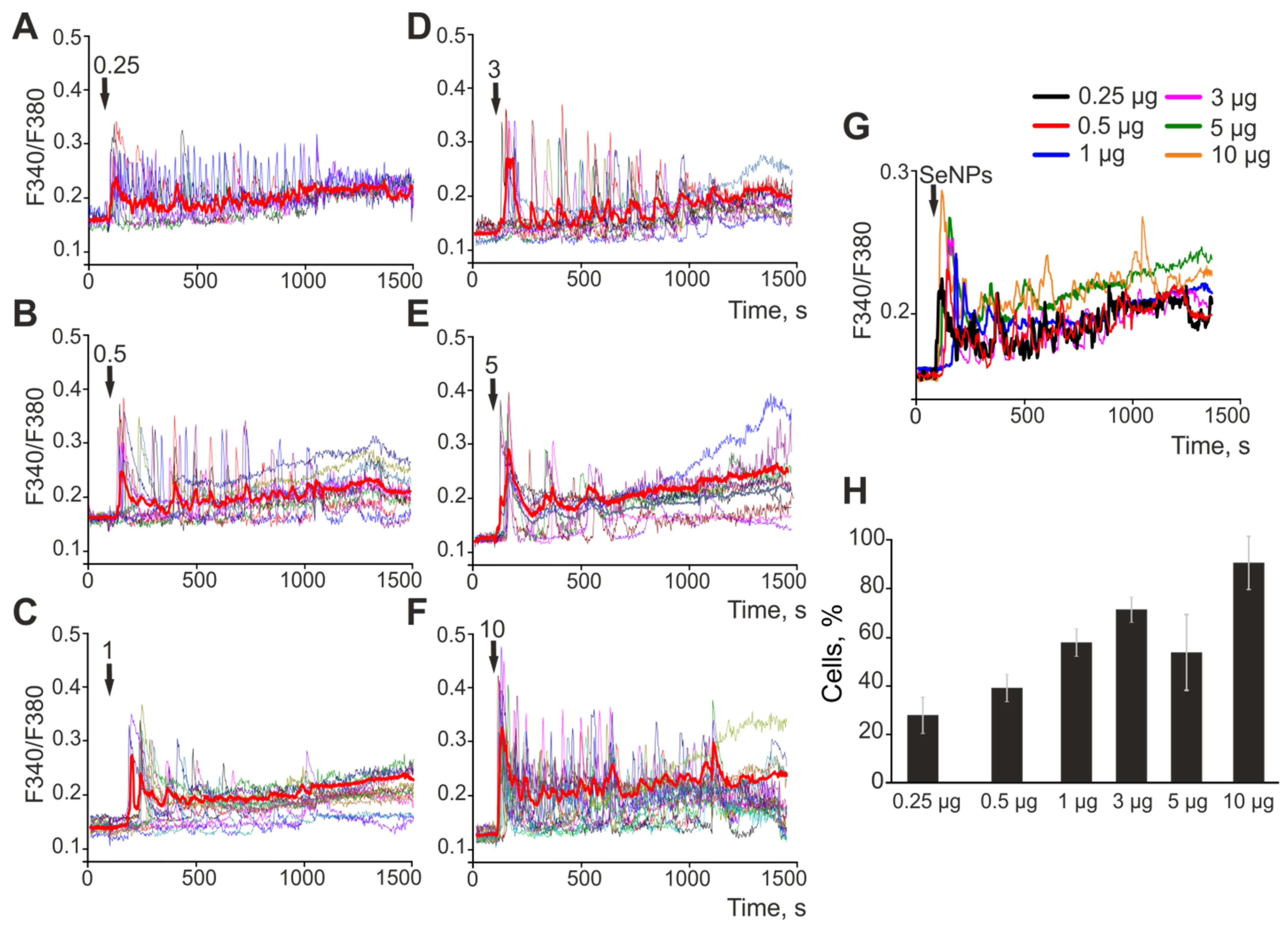Ijms 23 07464 g003 Ijms 23 07464 g003
