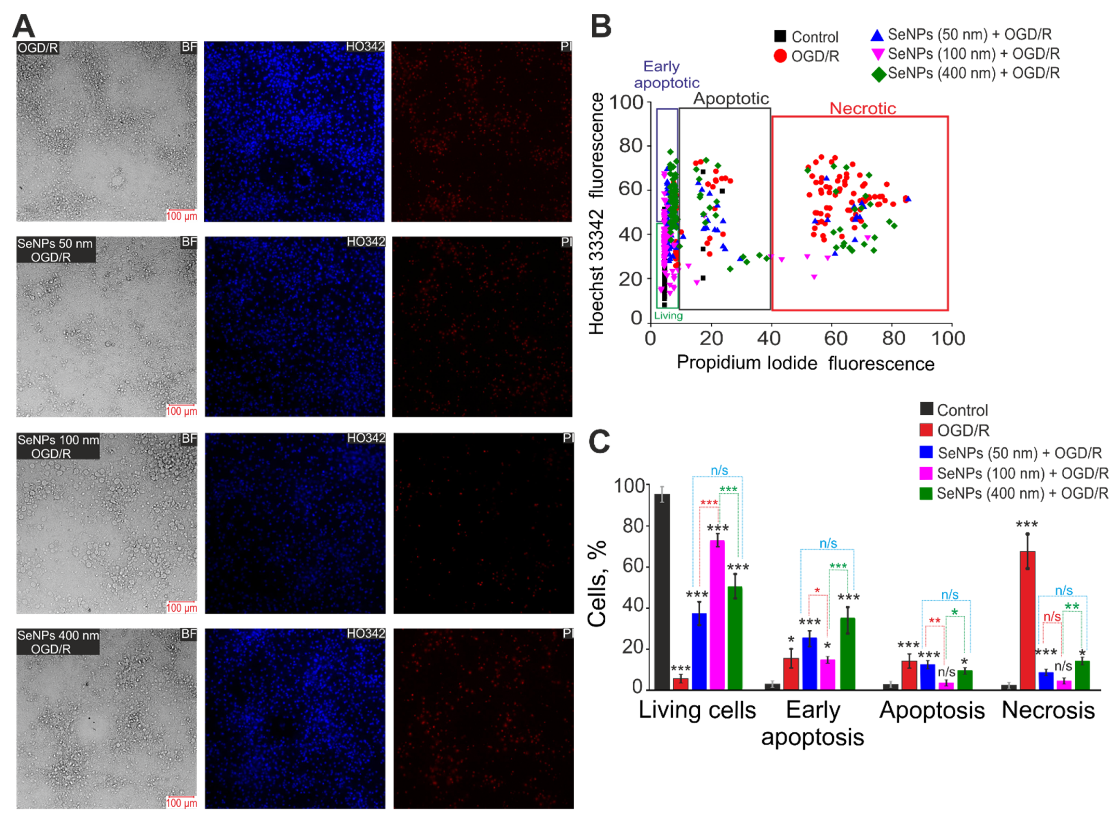 Ijms 23 07464 g005 Ijms 23 07464 g005