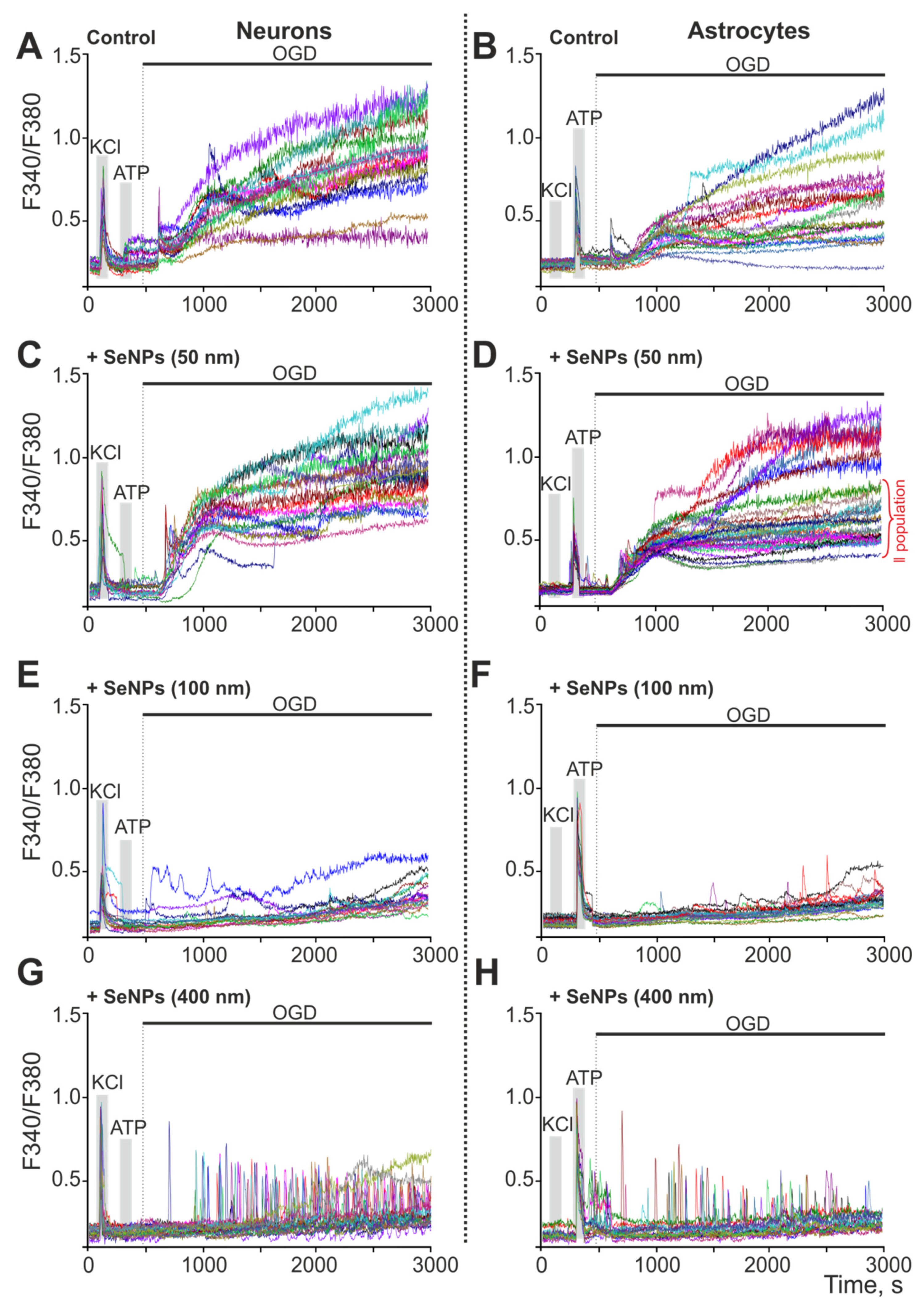 Ijms 23 07464 g007 Ijms 23 07464 g007
