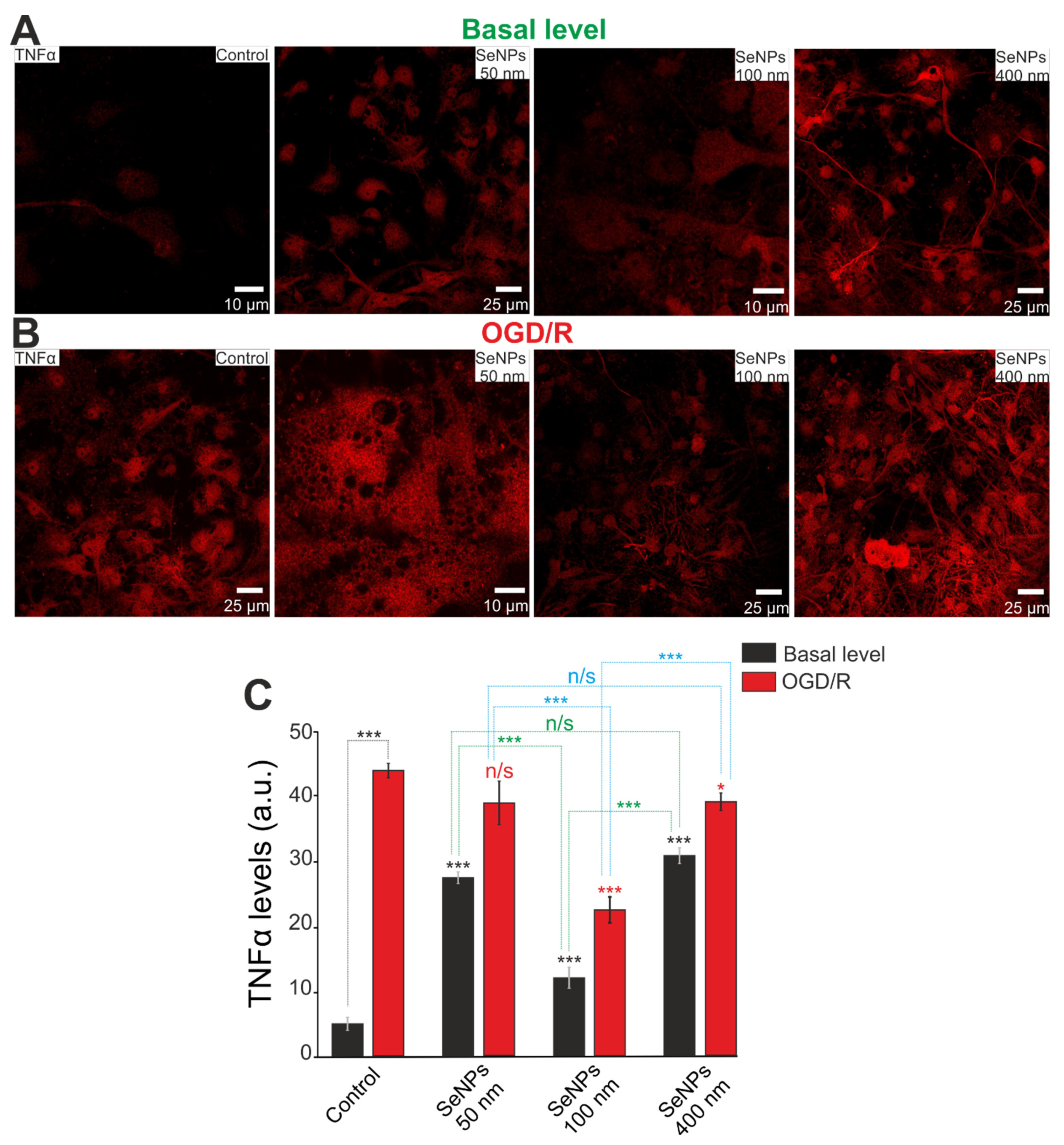 Ijms 23 07464 g009 Ijms 23 07464 g009