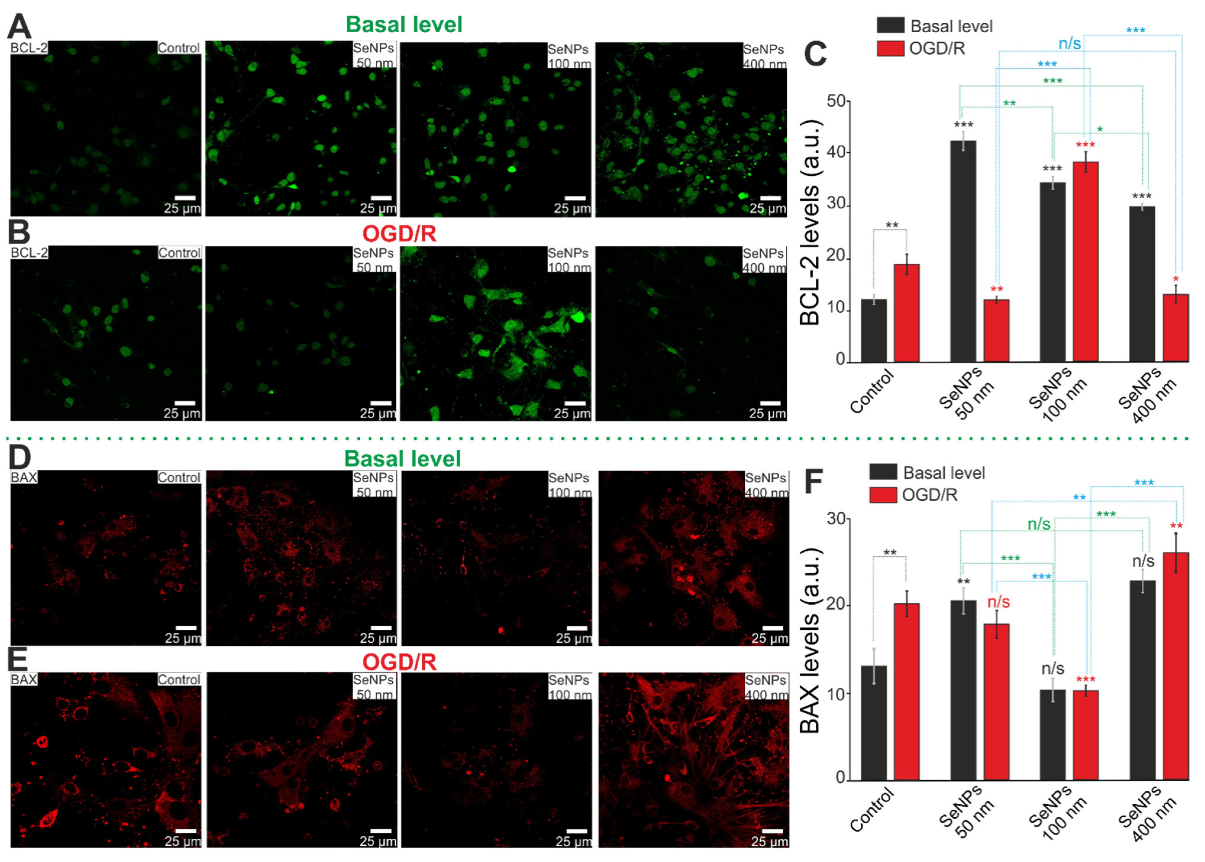 Ijms 23 07464 g010 Ijms 23 07464 g010