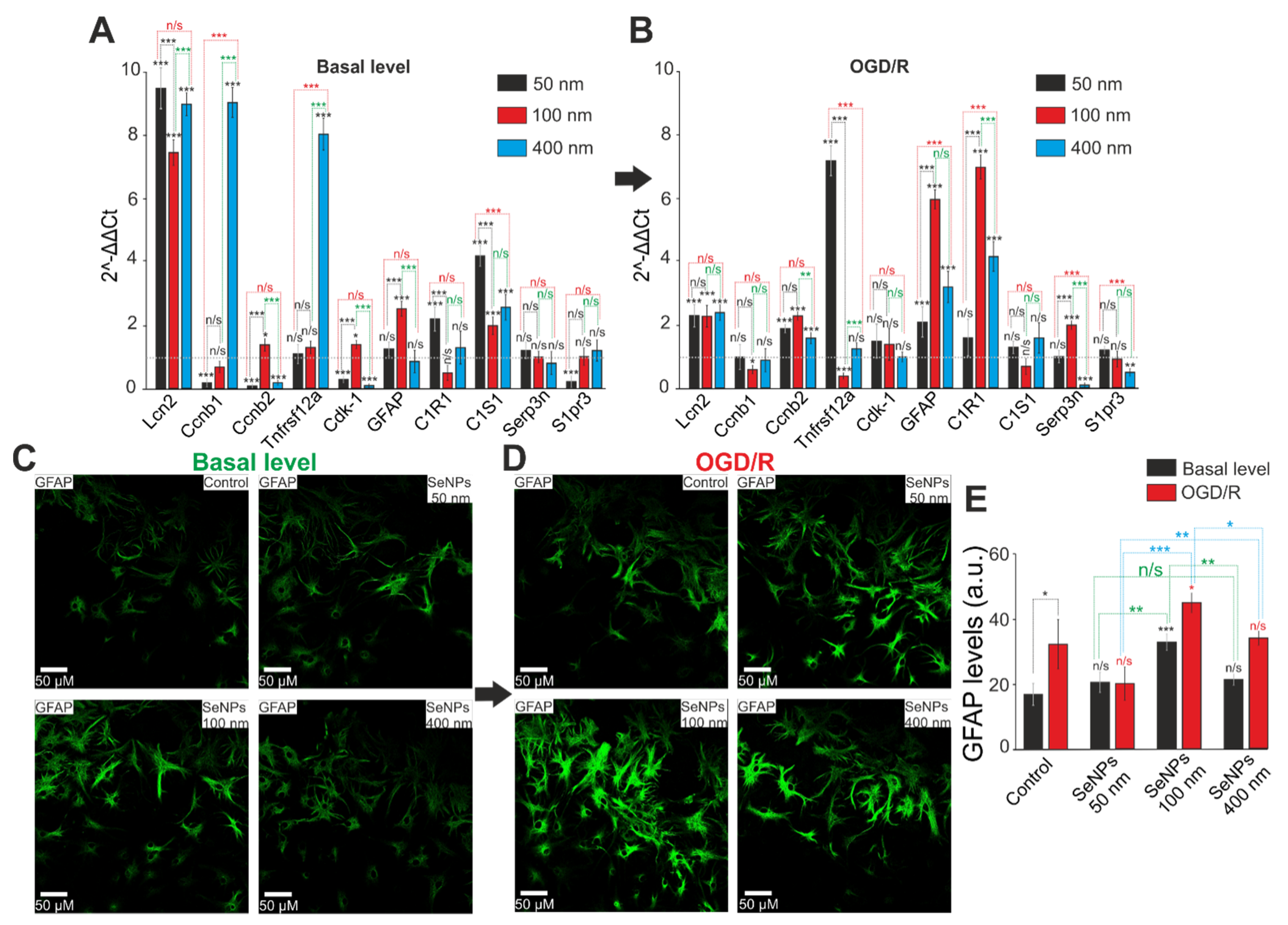 Ijms 23 07464 g011 Ijms 23 07464 g011