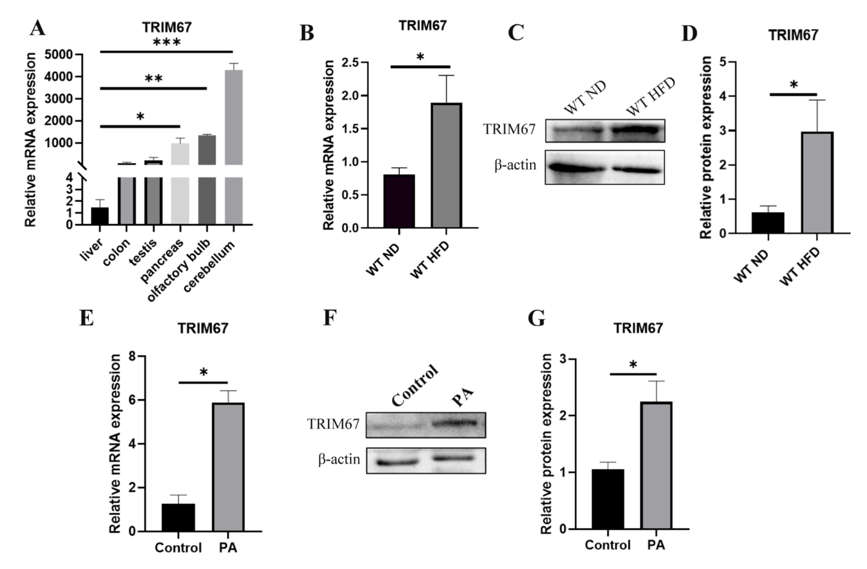 Ijms 23 07475 g001 550