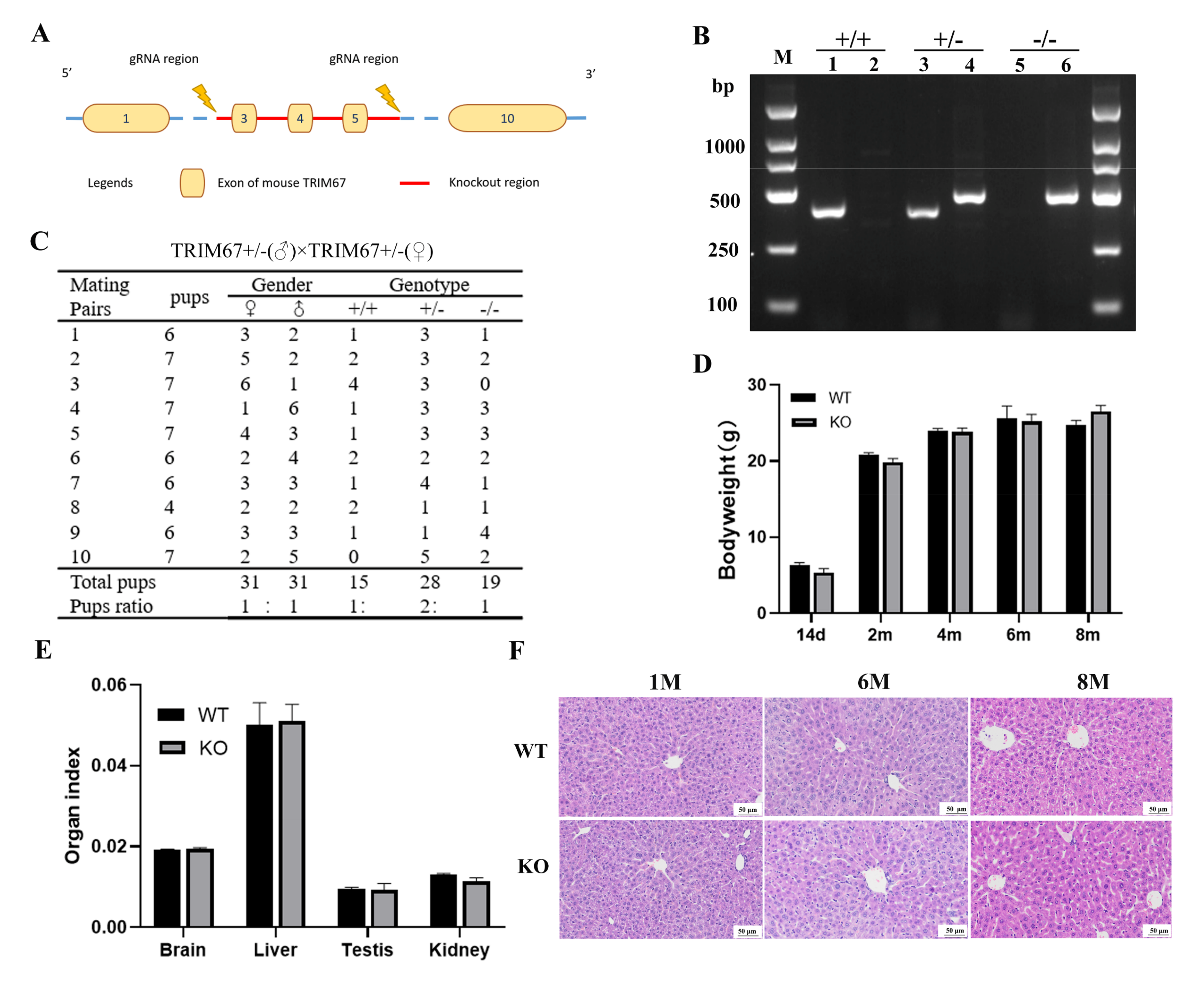 Ijms 23 07475 g002 550