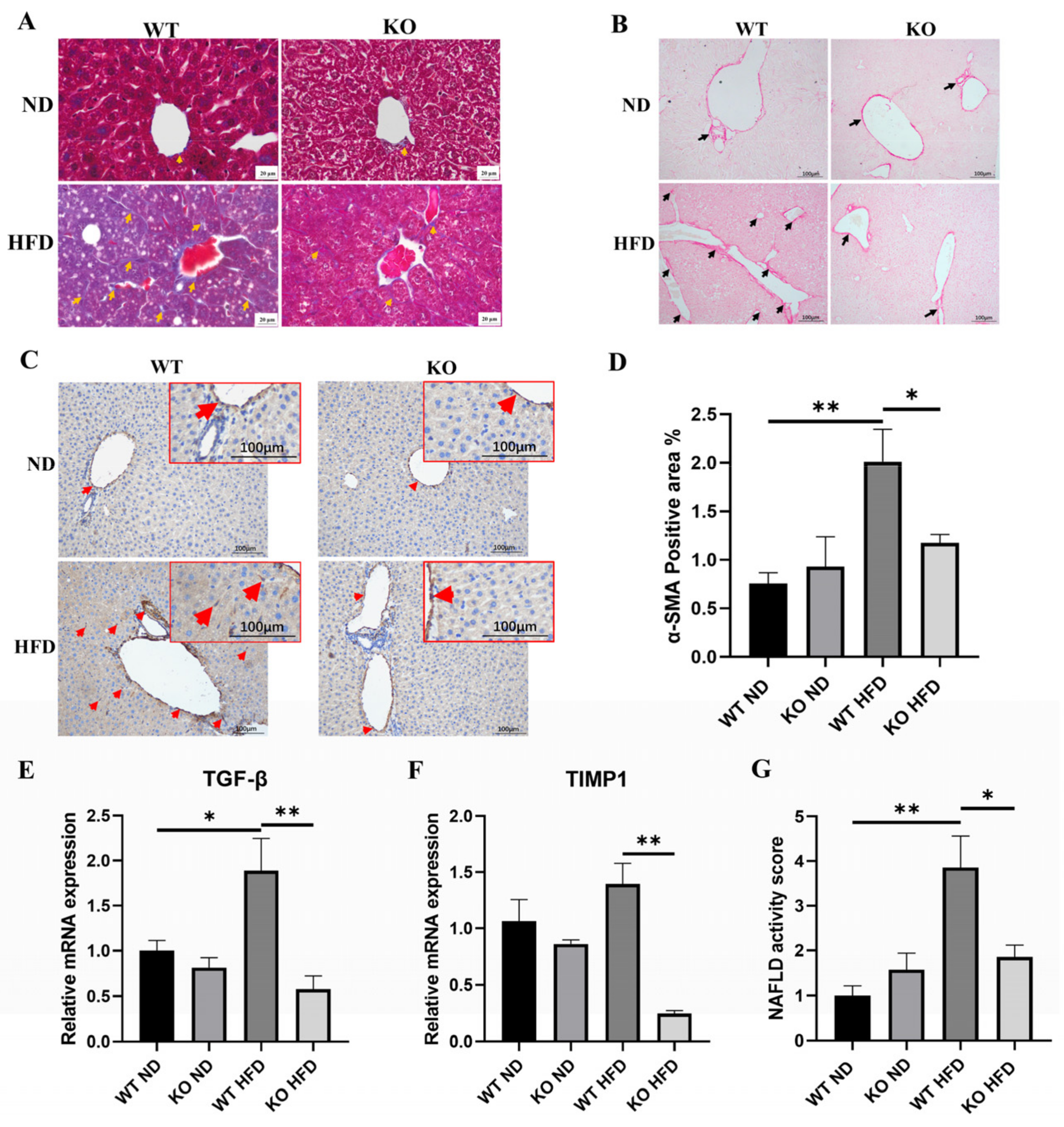 Ijms 23 07475 g004 550