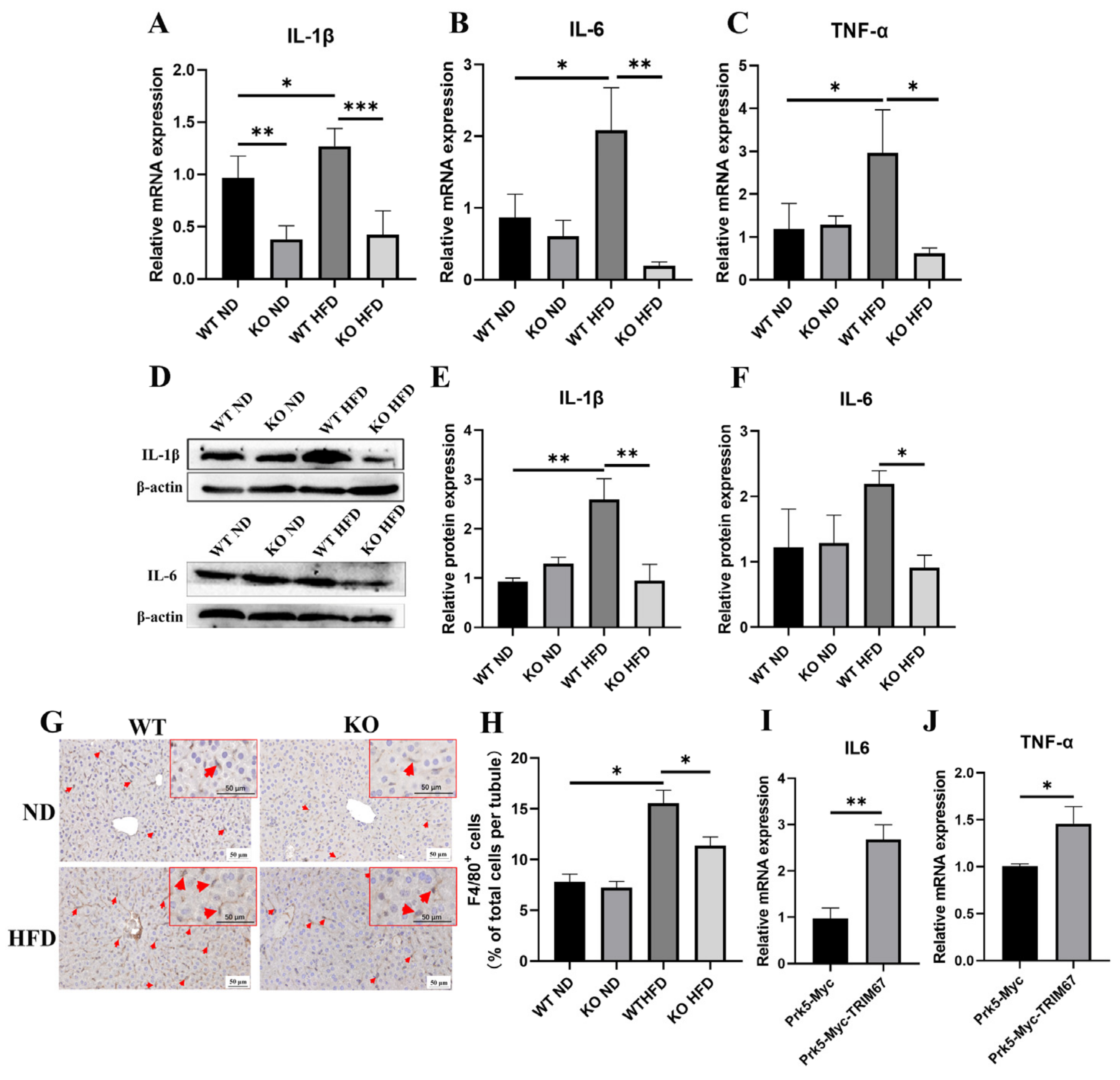 Ijms 23 07475 g005 550