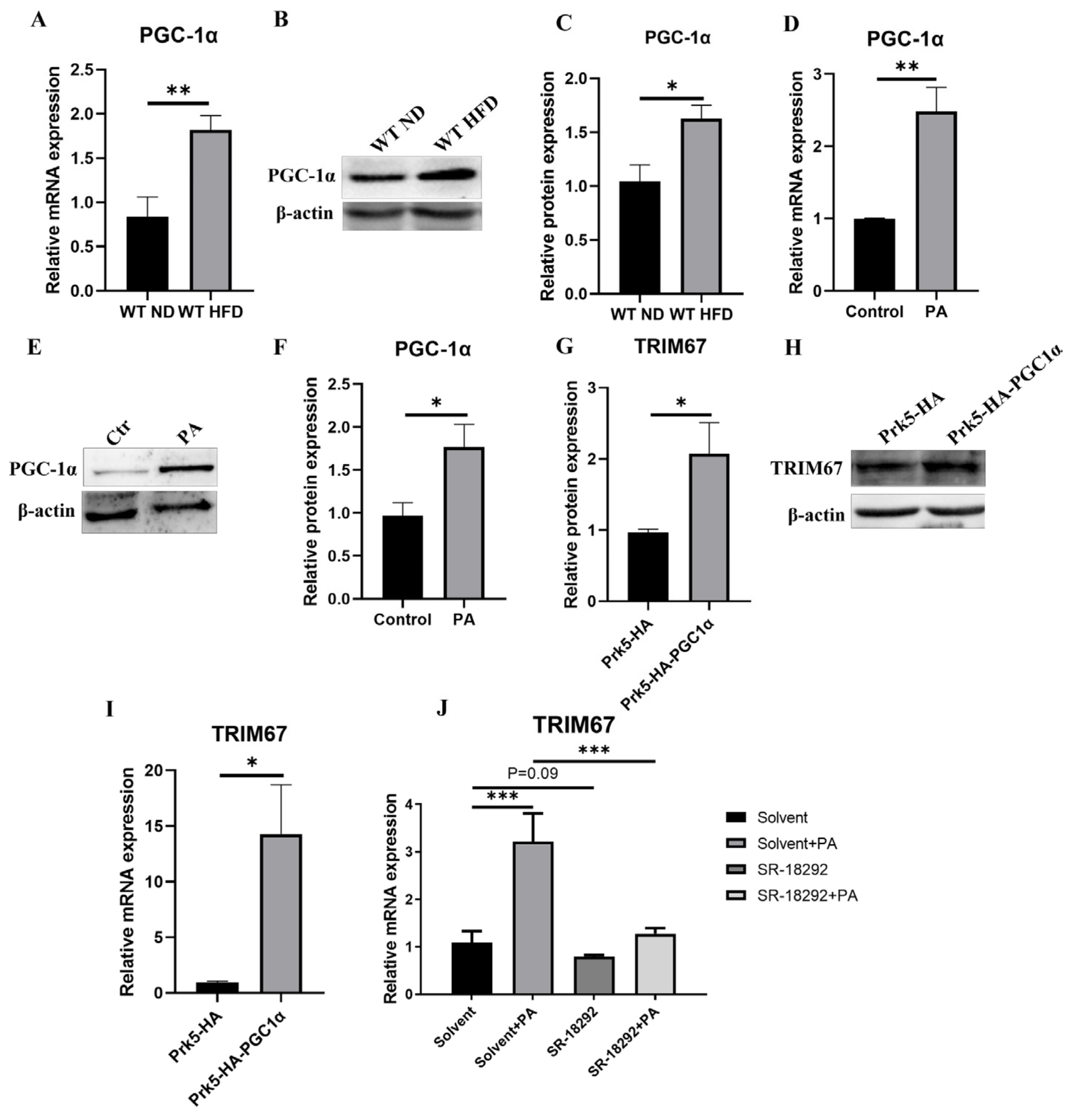 Ijms 23 07475 g007 550
