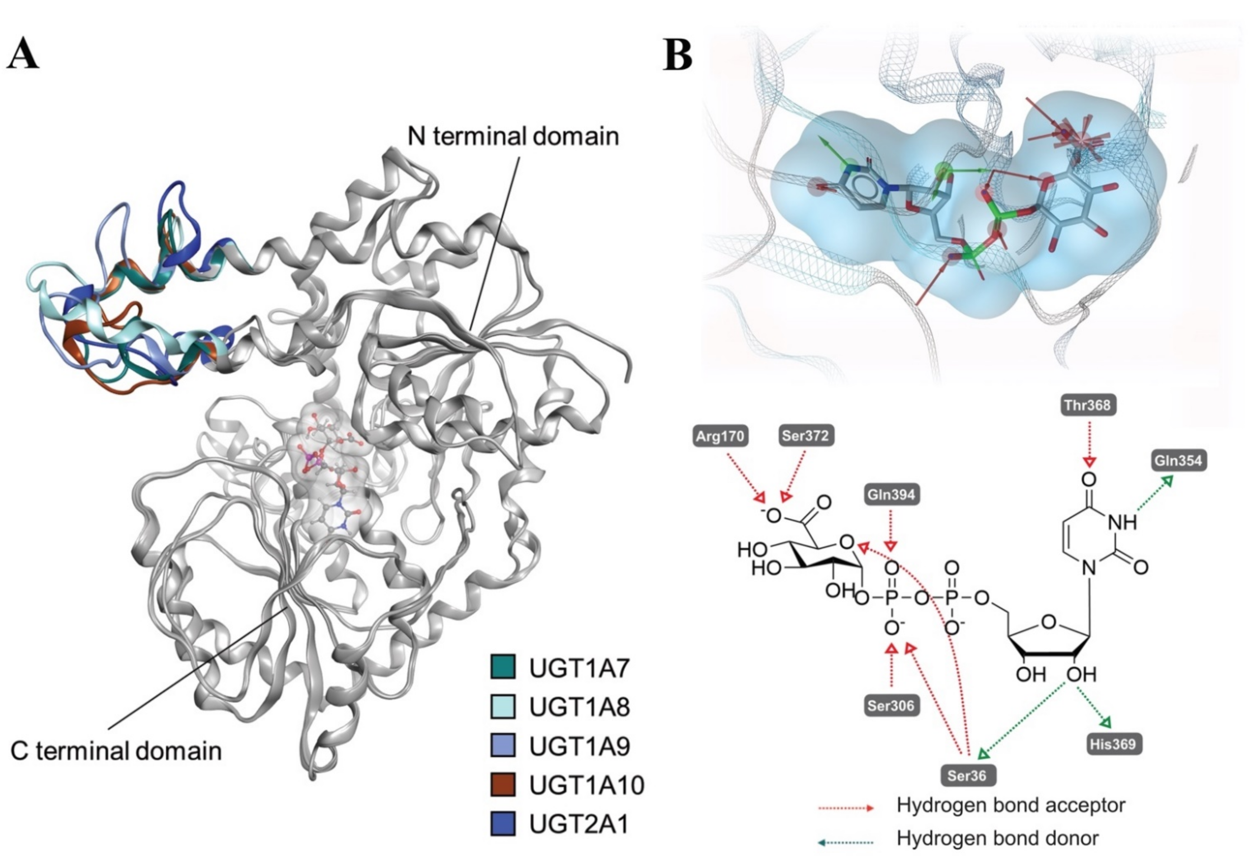 Ijms 23 07476 g006 550