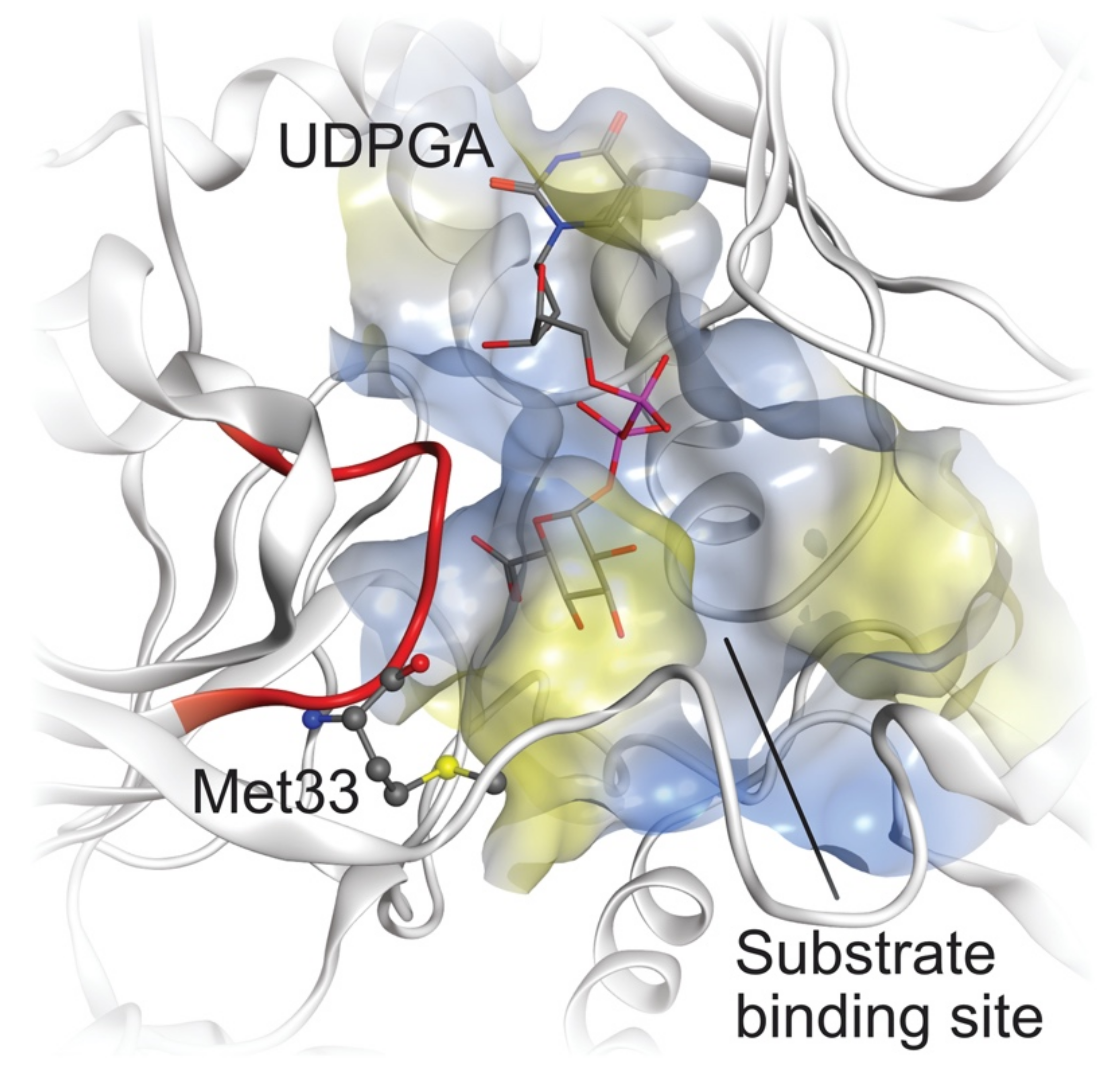 Ijms 23 07476 g007 550