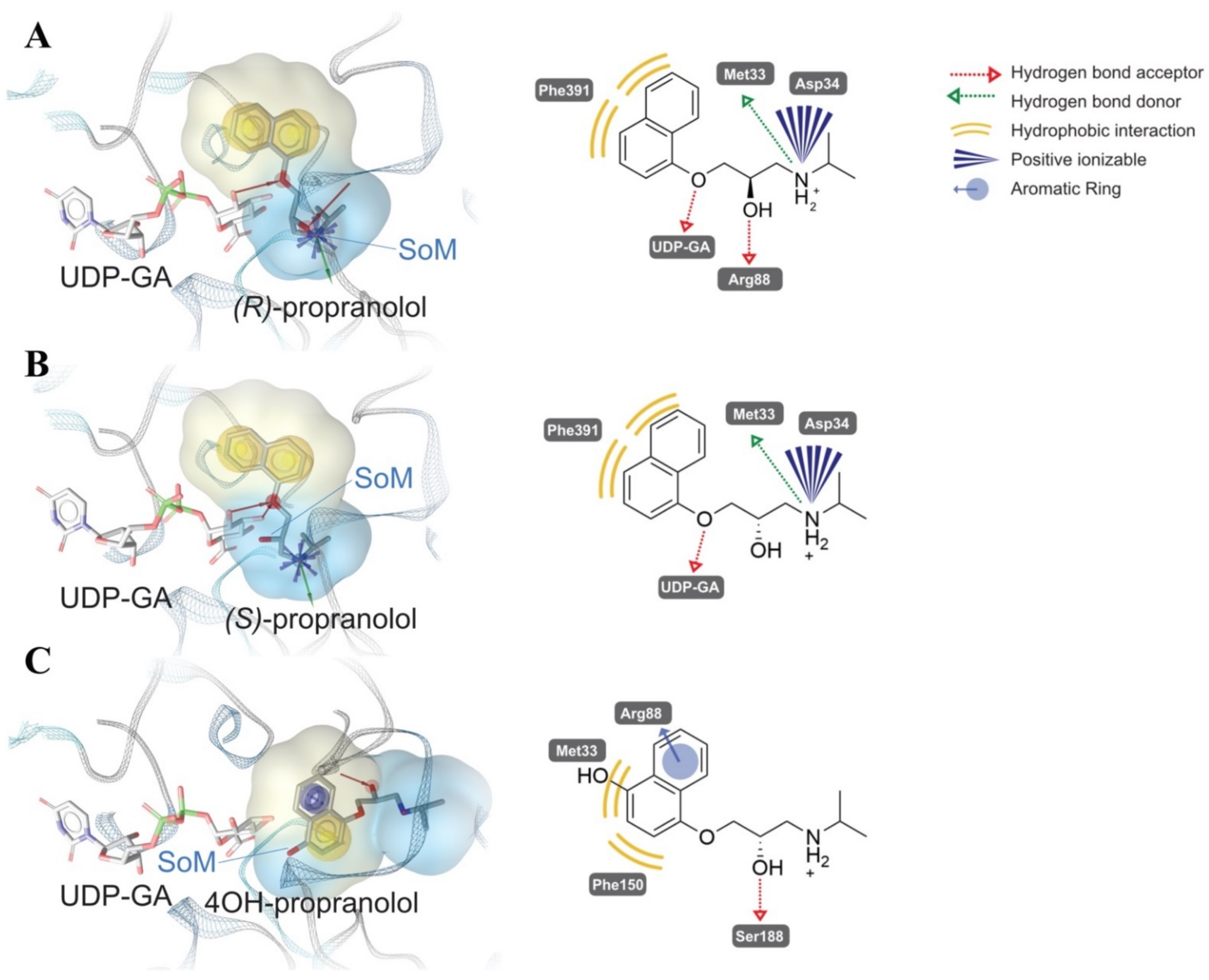 Ijms 23 07476 g008 550