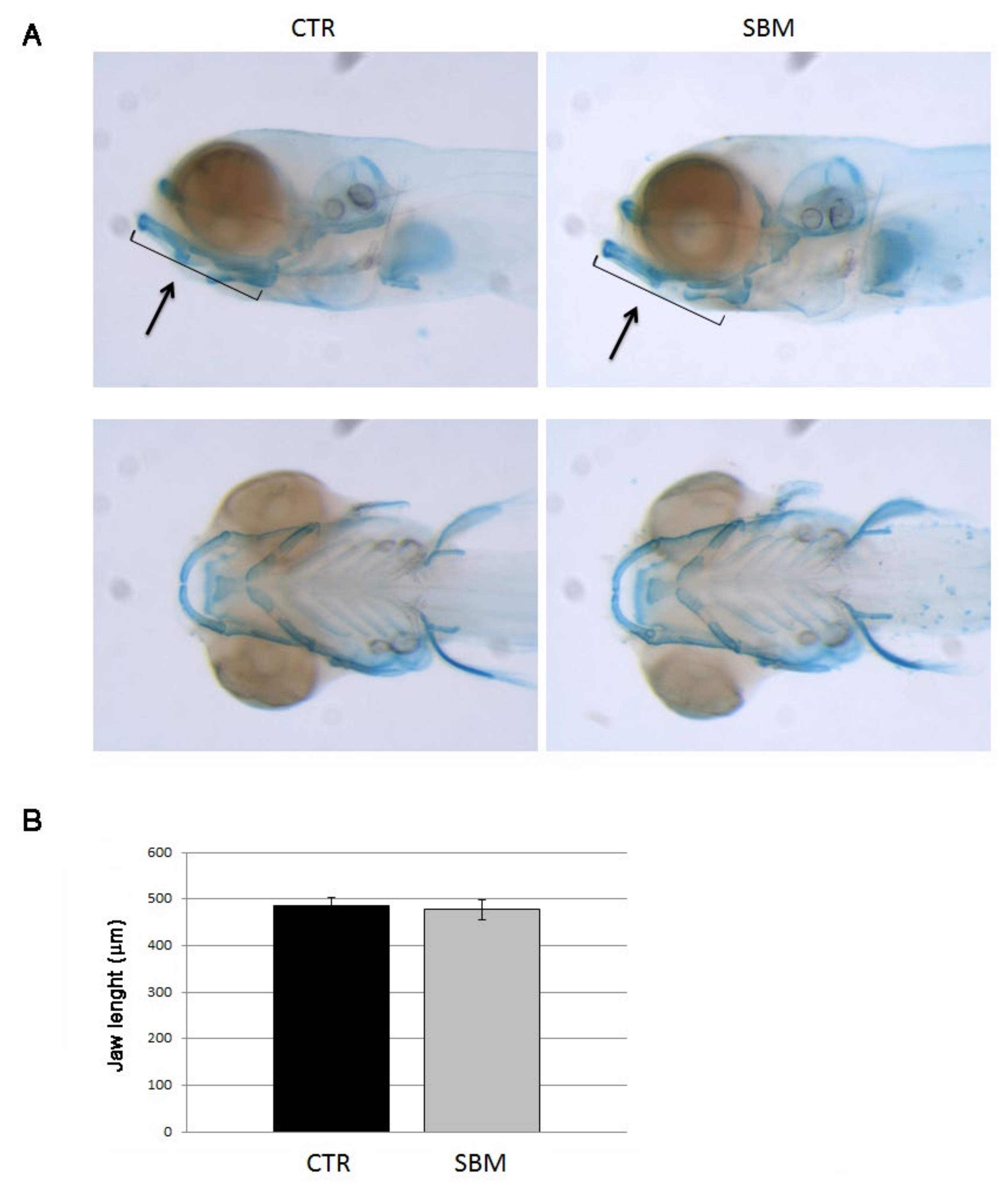 Ijms 23 07480 g002 550