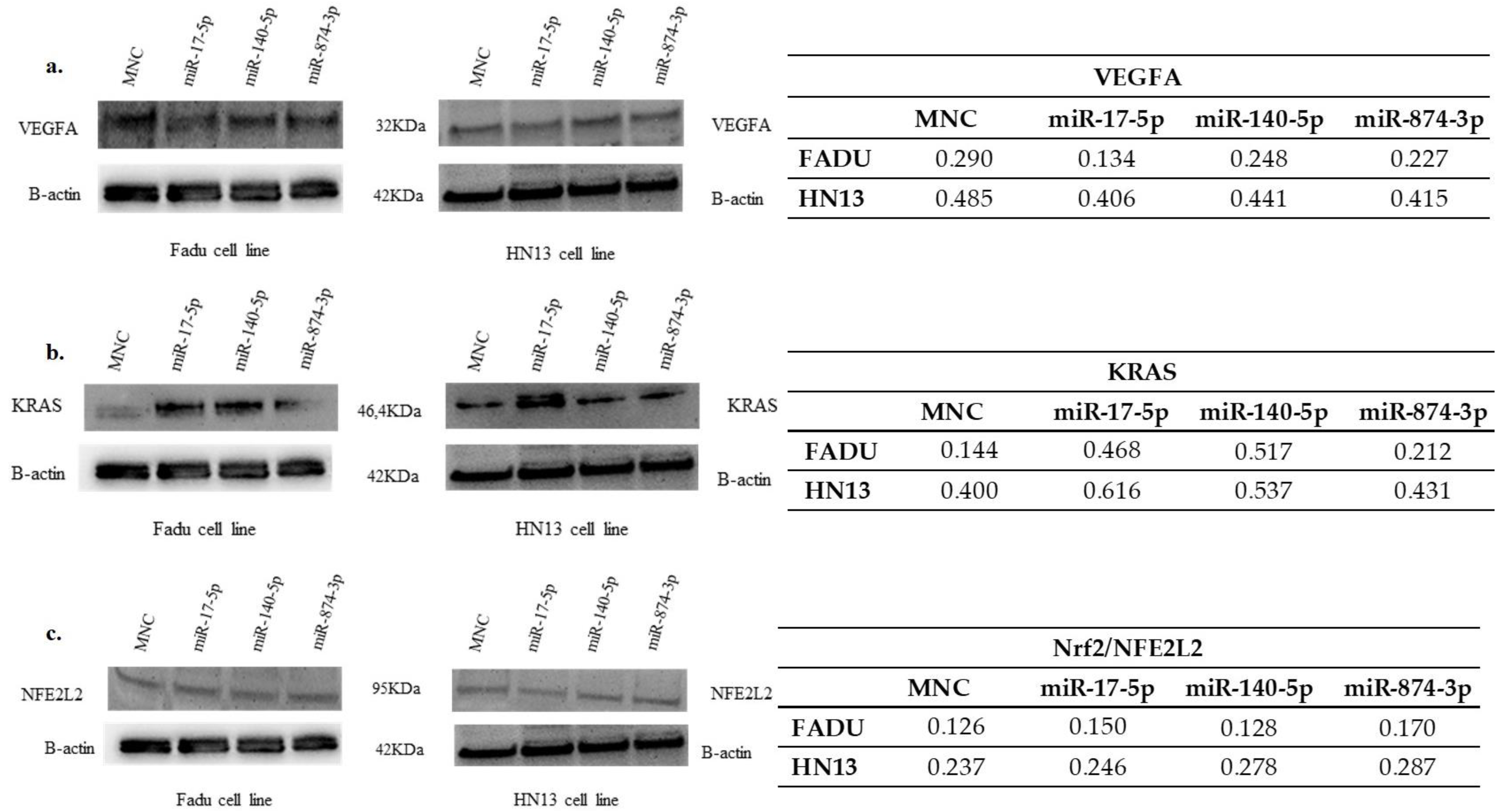 Ijms 23 07483 g005 550