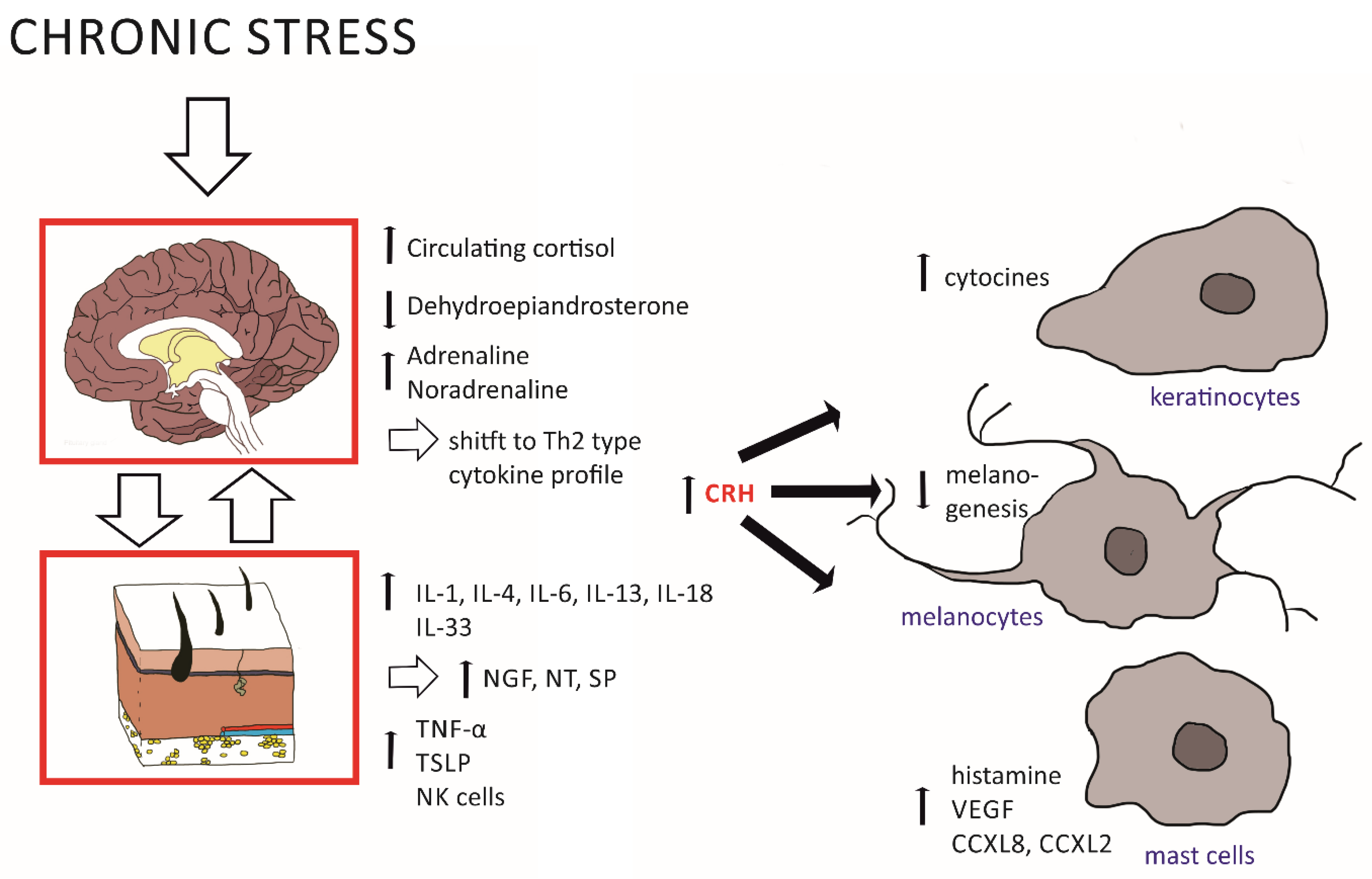 Ijms 23 07484 g002 Ijms 23 07484 g002