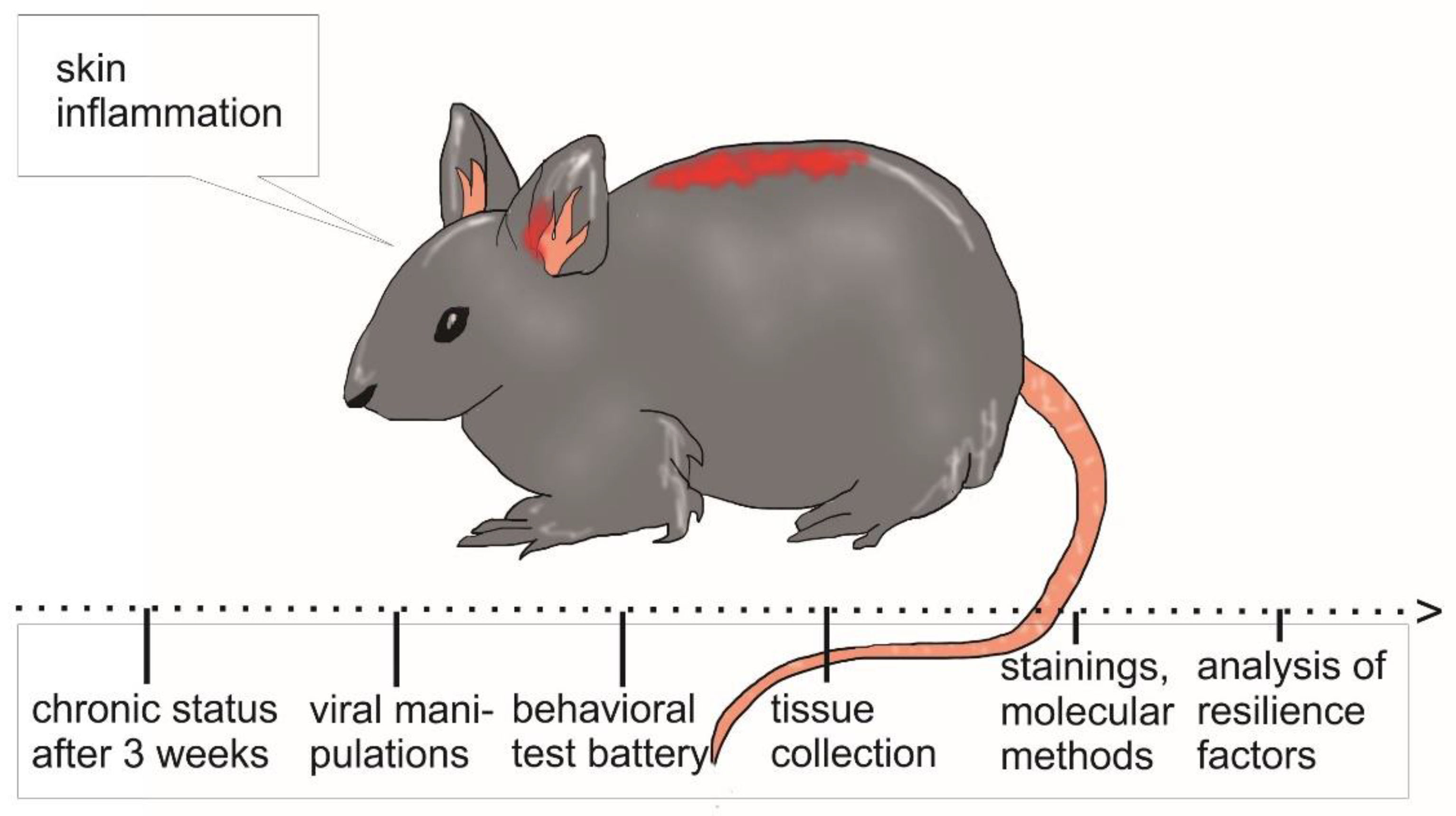 Ijms 23 07484 g003 Ijms 23 07484 g003