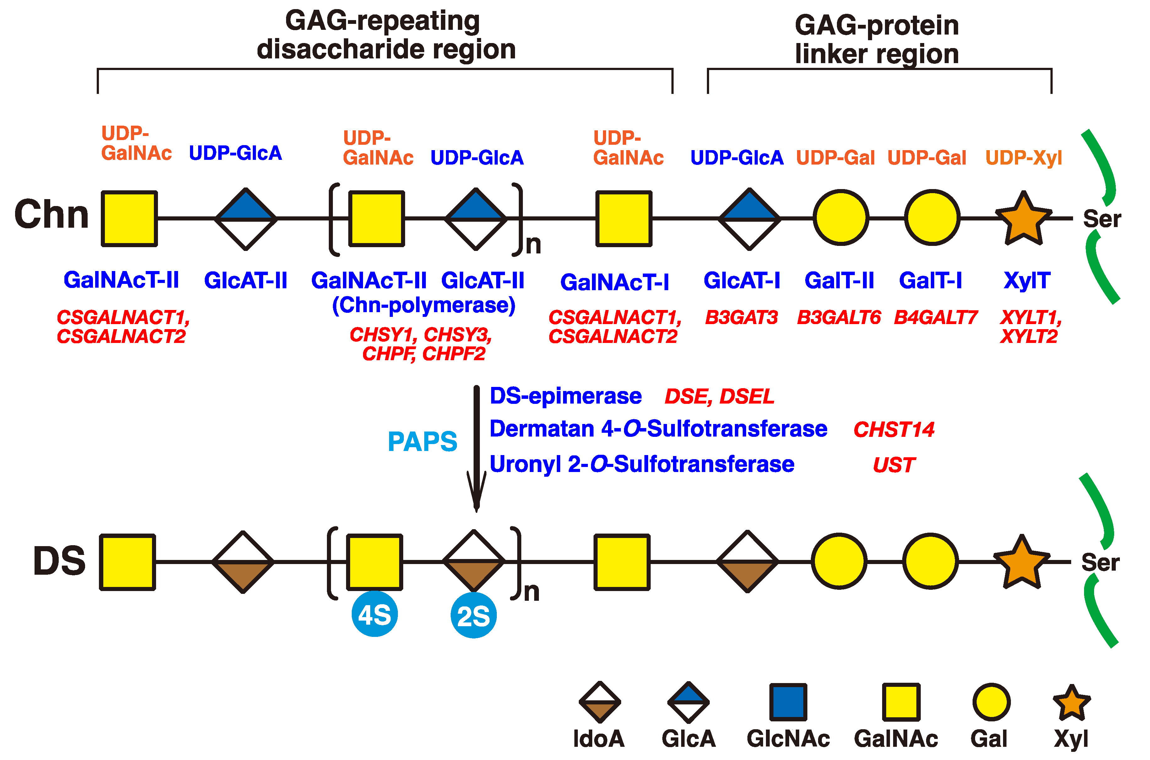 Ijms 23 07485 g002 550