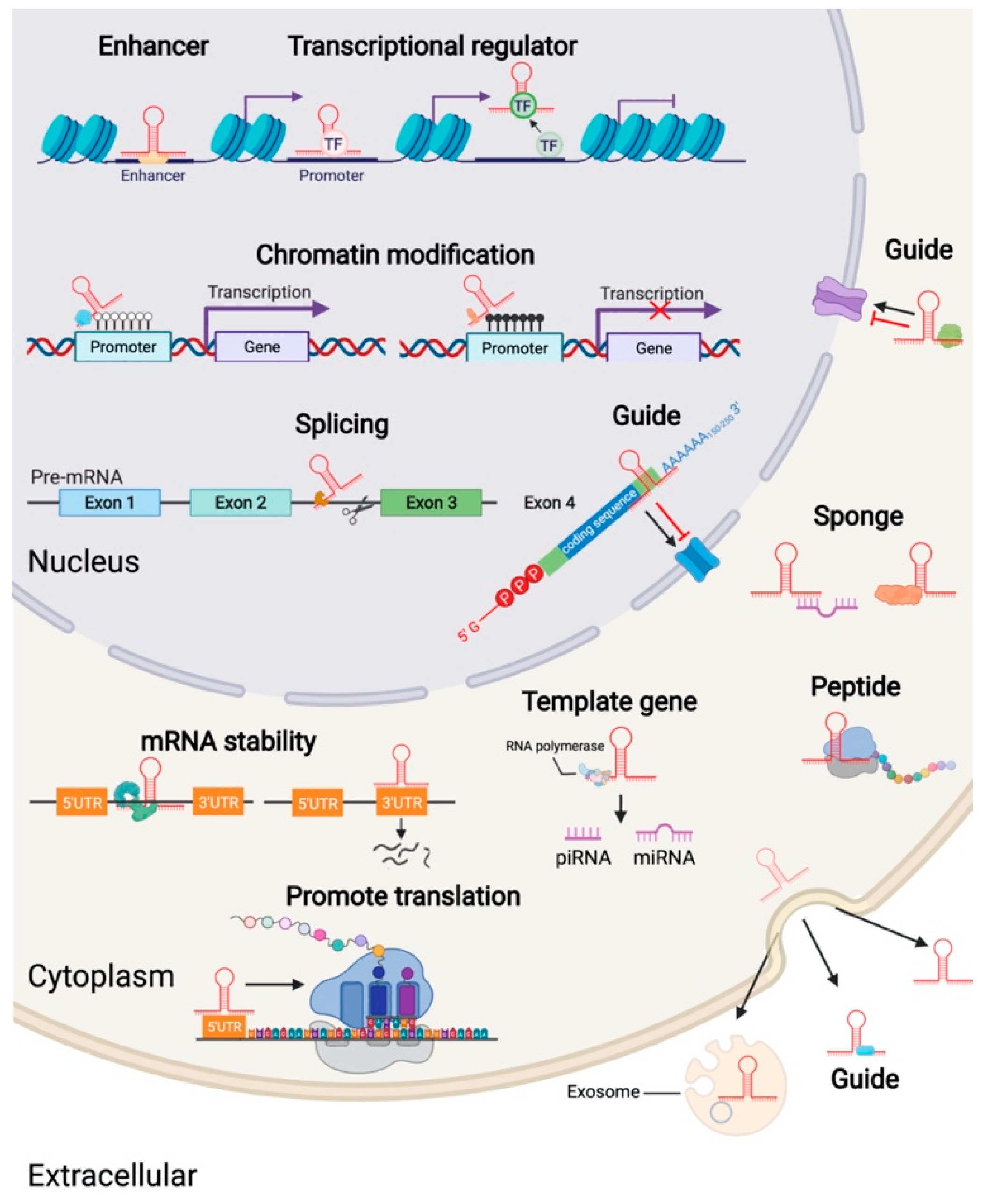 Ijms 23 07488 g002 Ijms 23 07488 g002