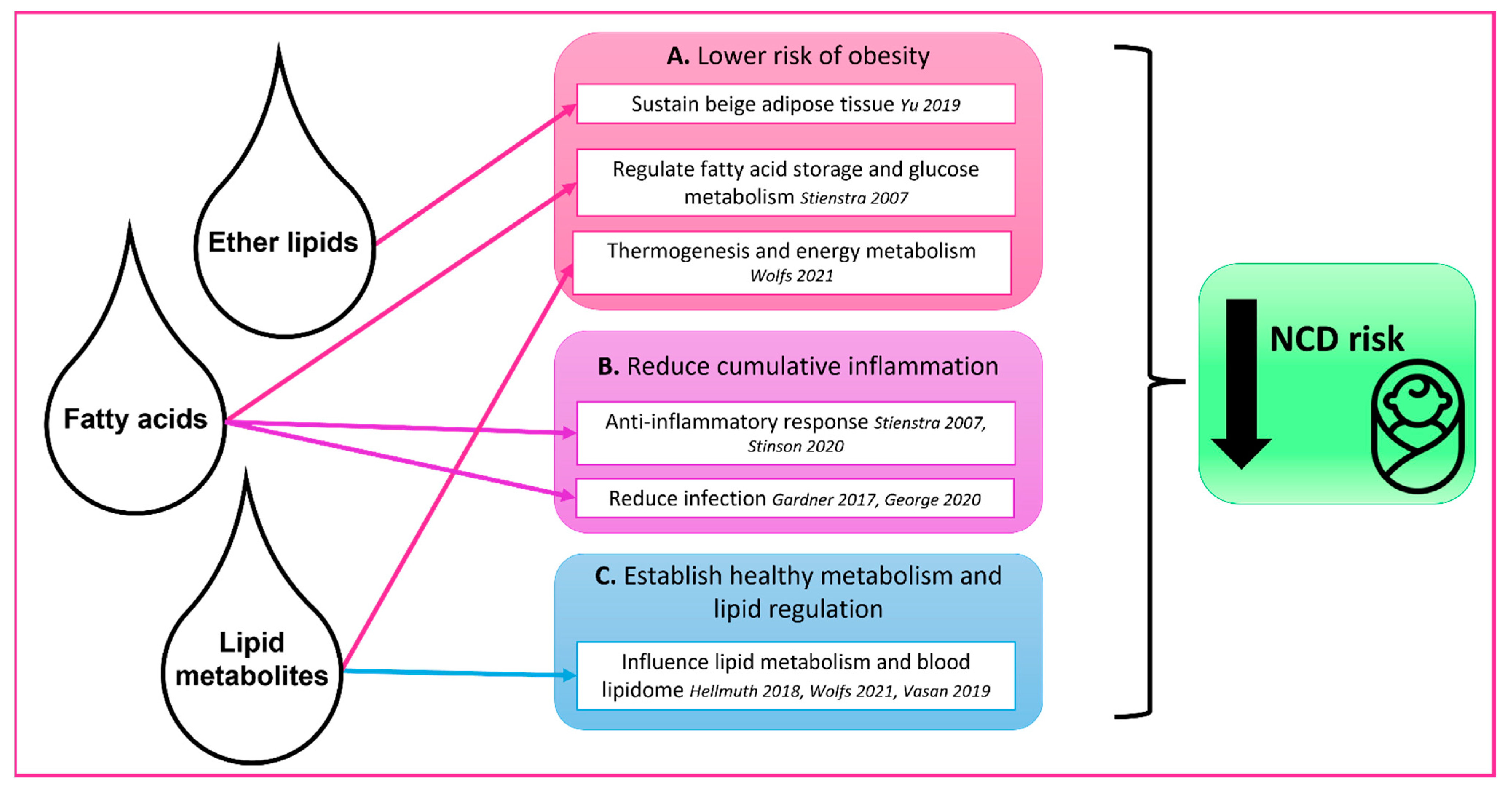 Ijms 23 07490 g001 550