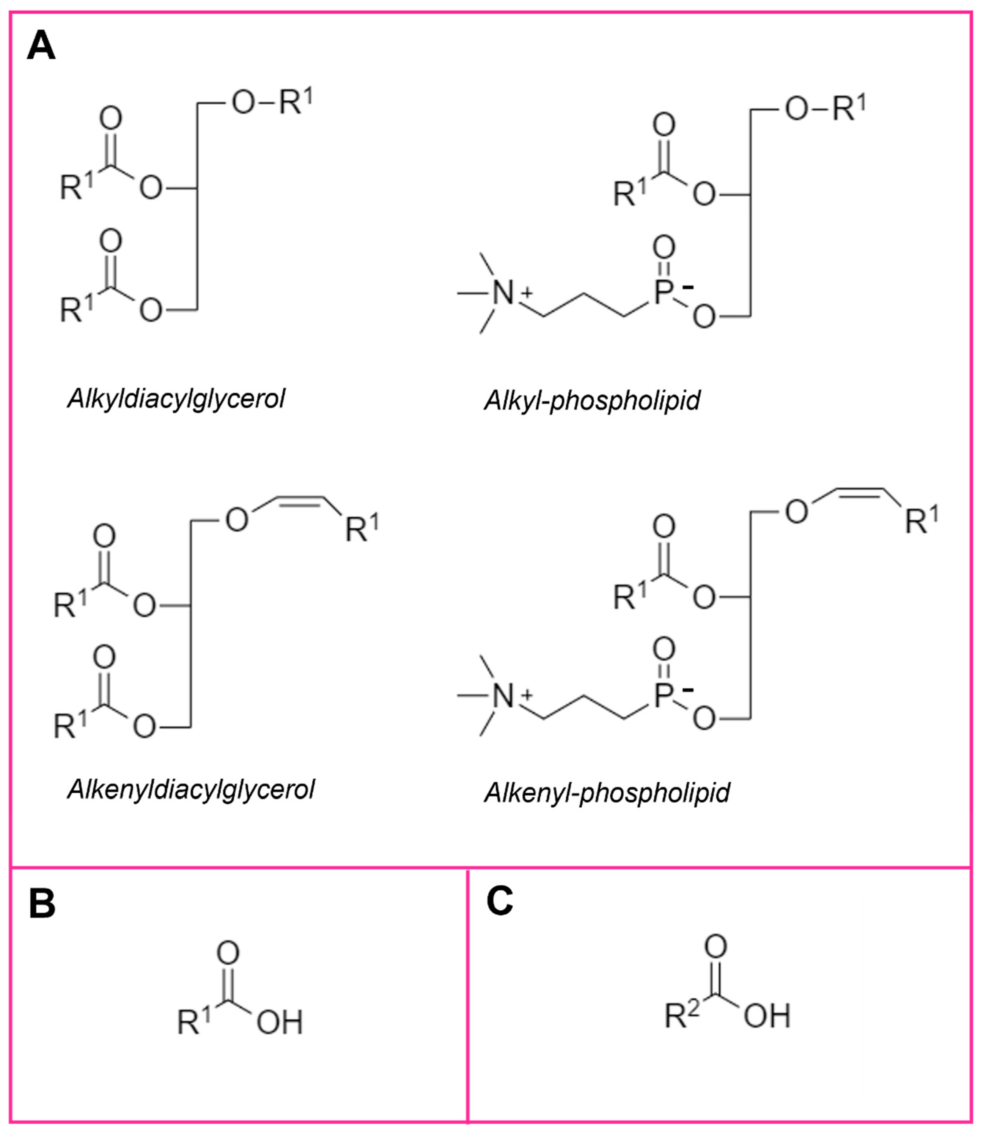 Ijms 23 07490 g002 550