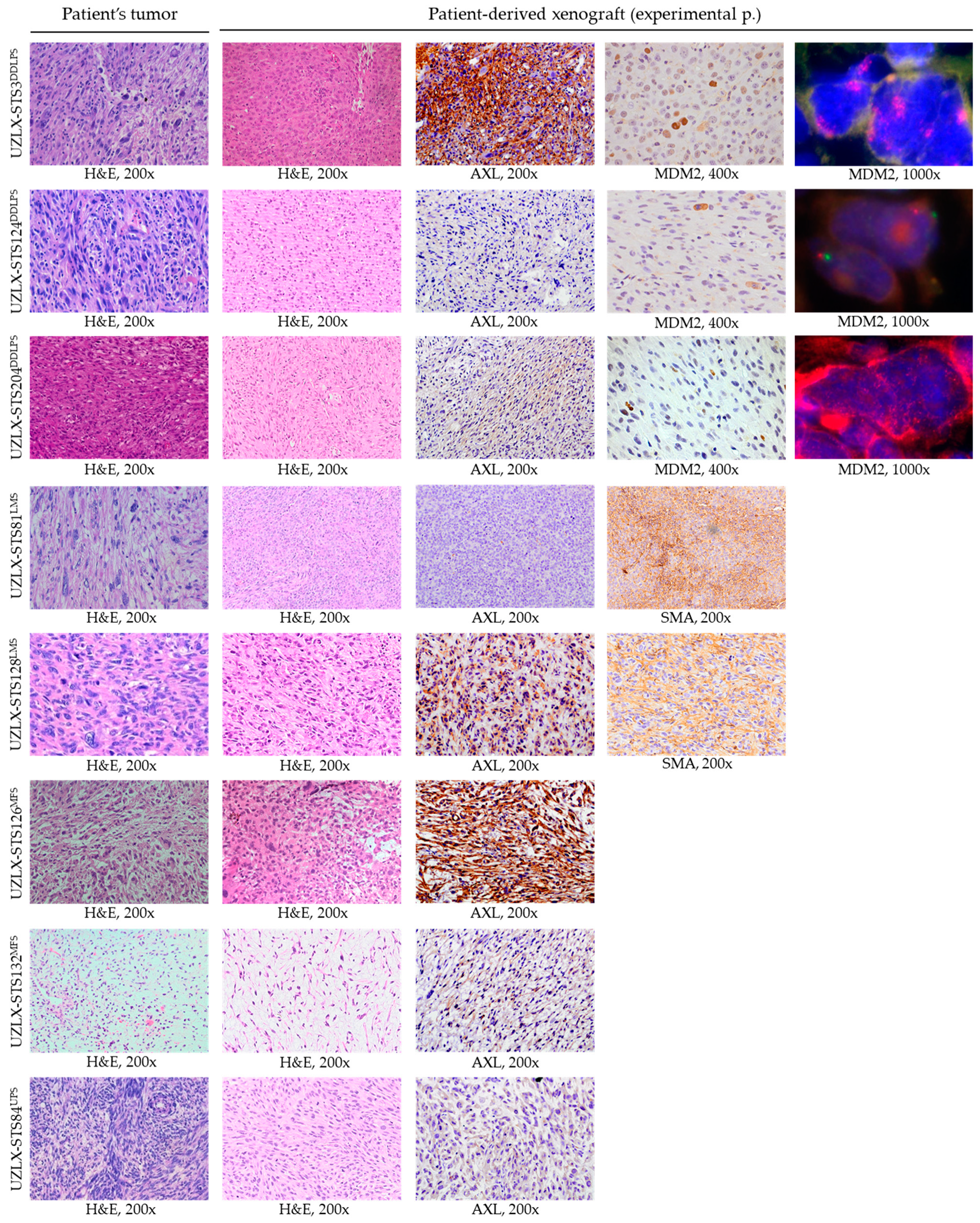 Ijms 23 07493 g002 Ijms 23 07493 g002