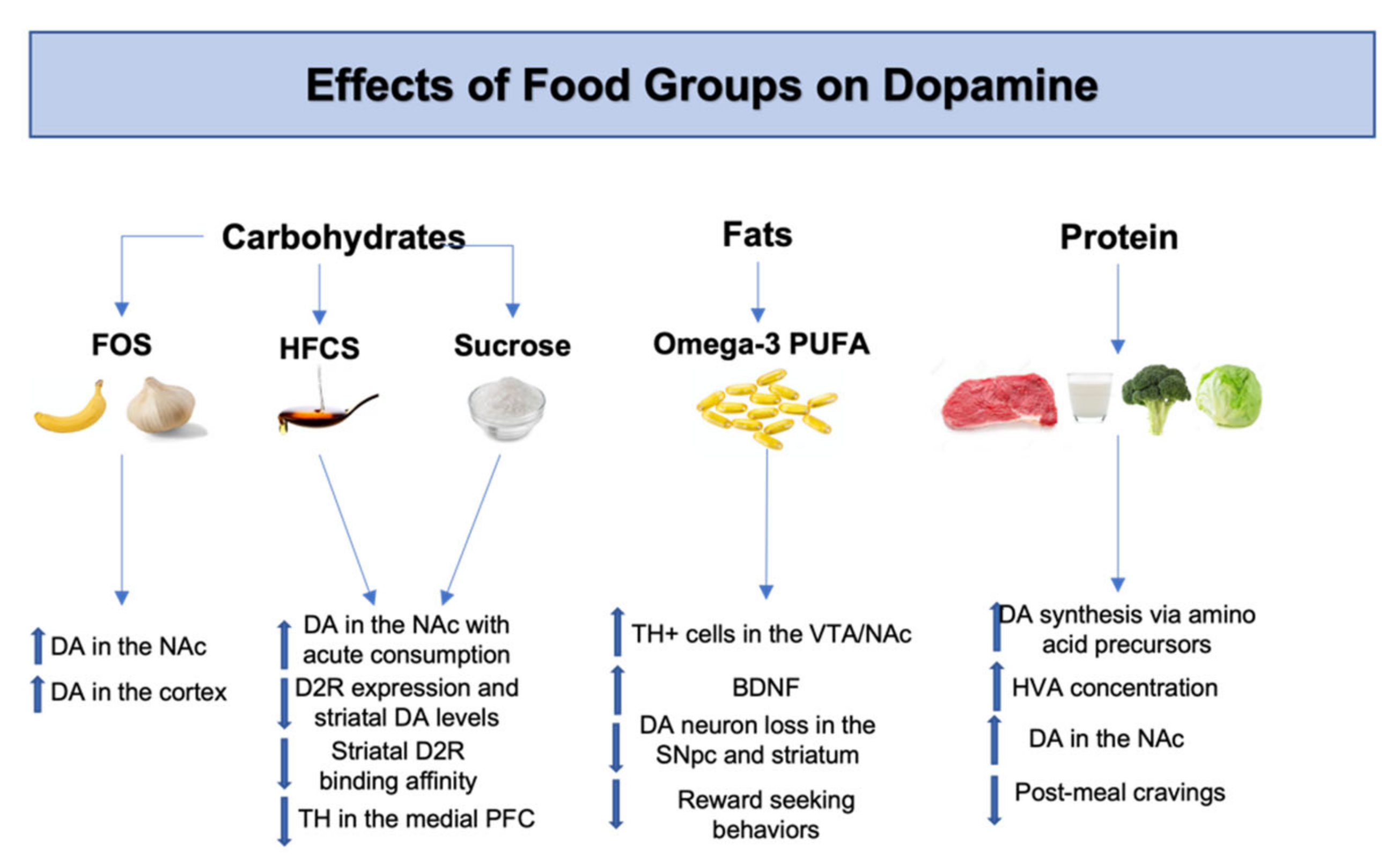 Ijms 23 07503 g002 550