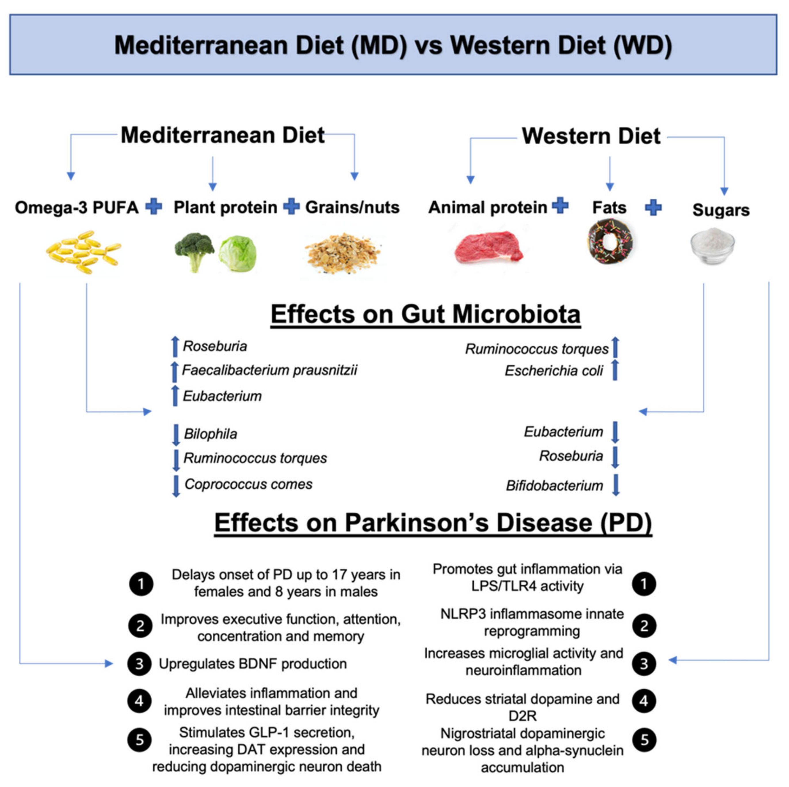 Ijms 23 07503 g003 550