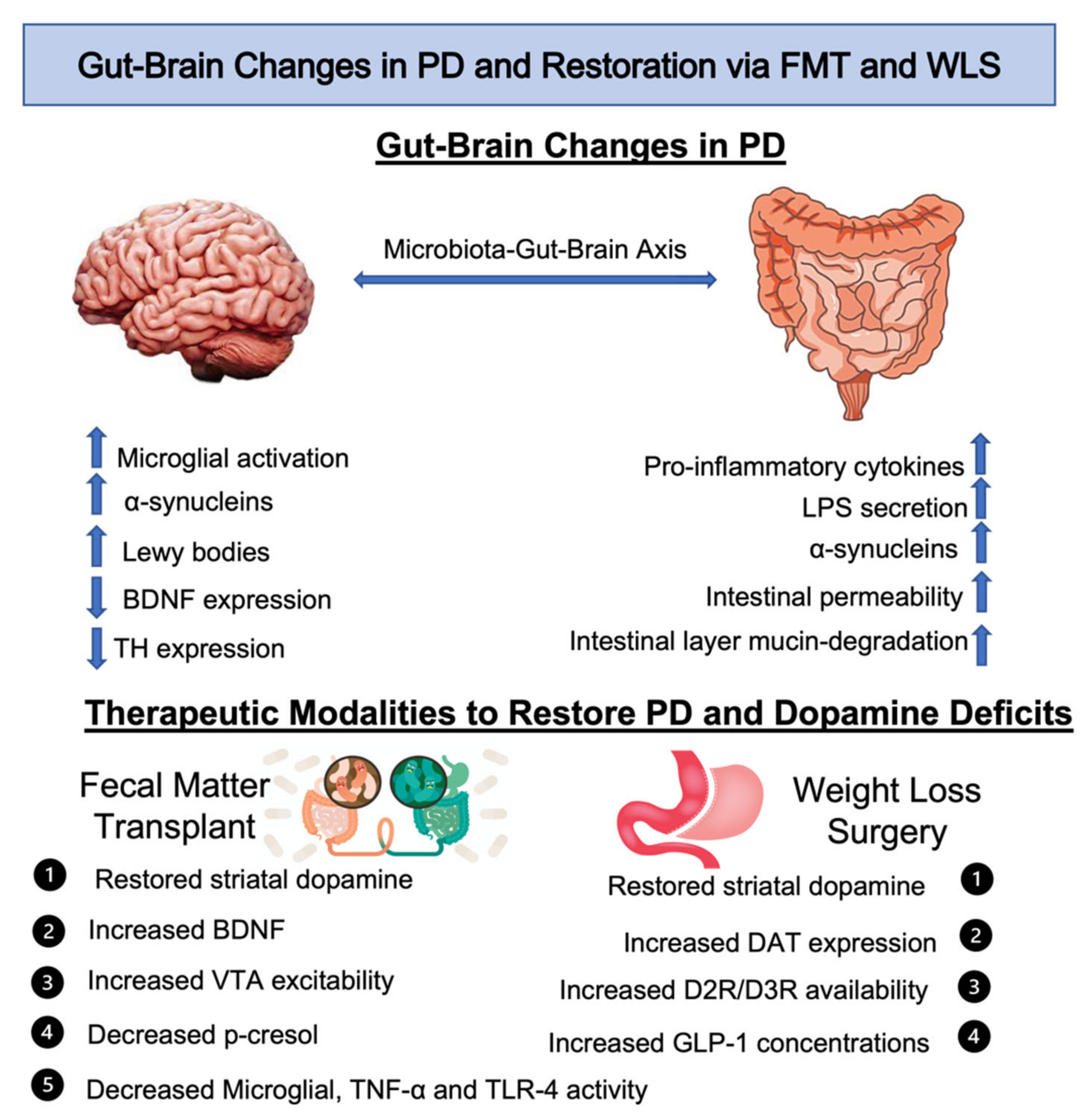 Ijms 23 07503 g004 550