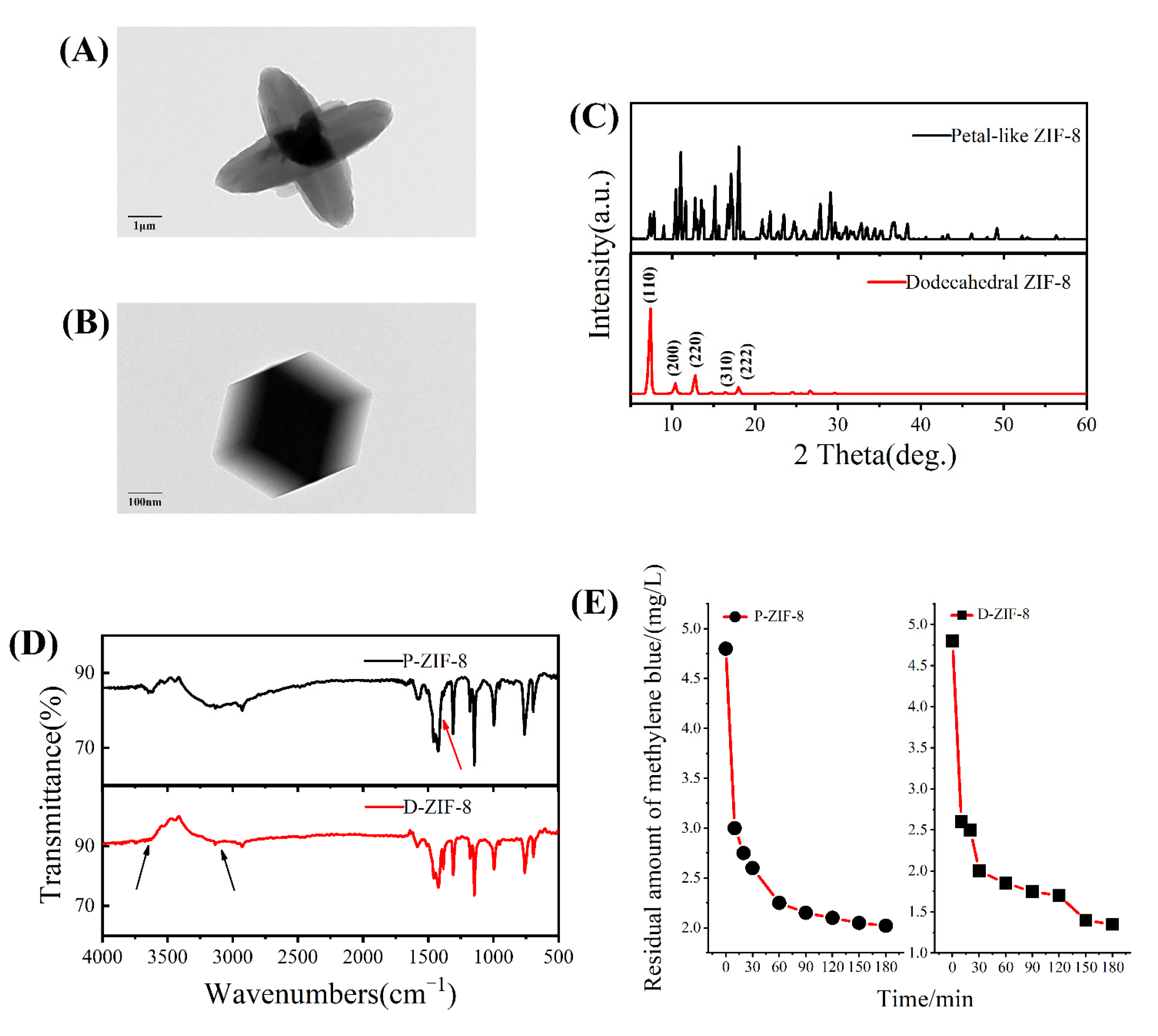 Ijms 23 07510 g001 550