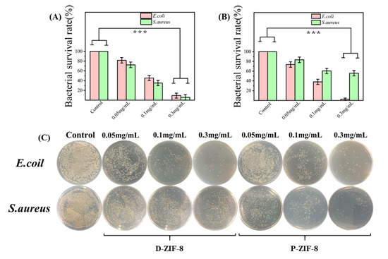 A Cruciform Petal-like (ZIF-8) with Bactericidal Activity against