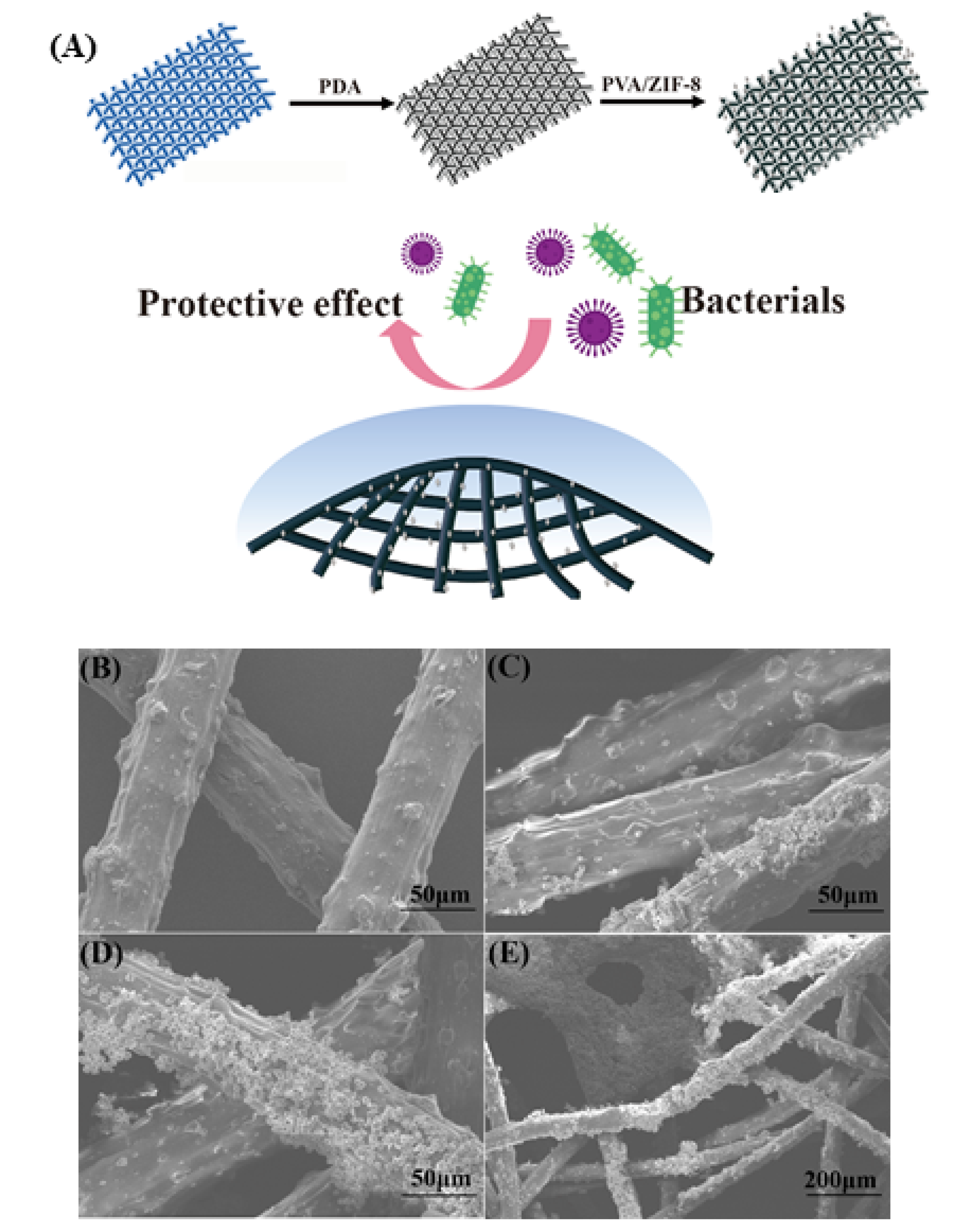 Ijms 23 07510 g006 550