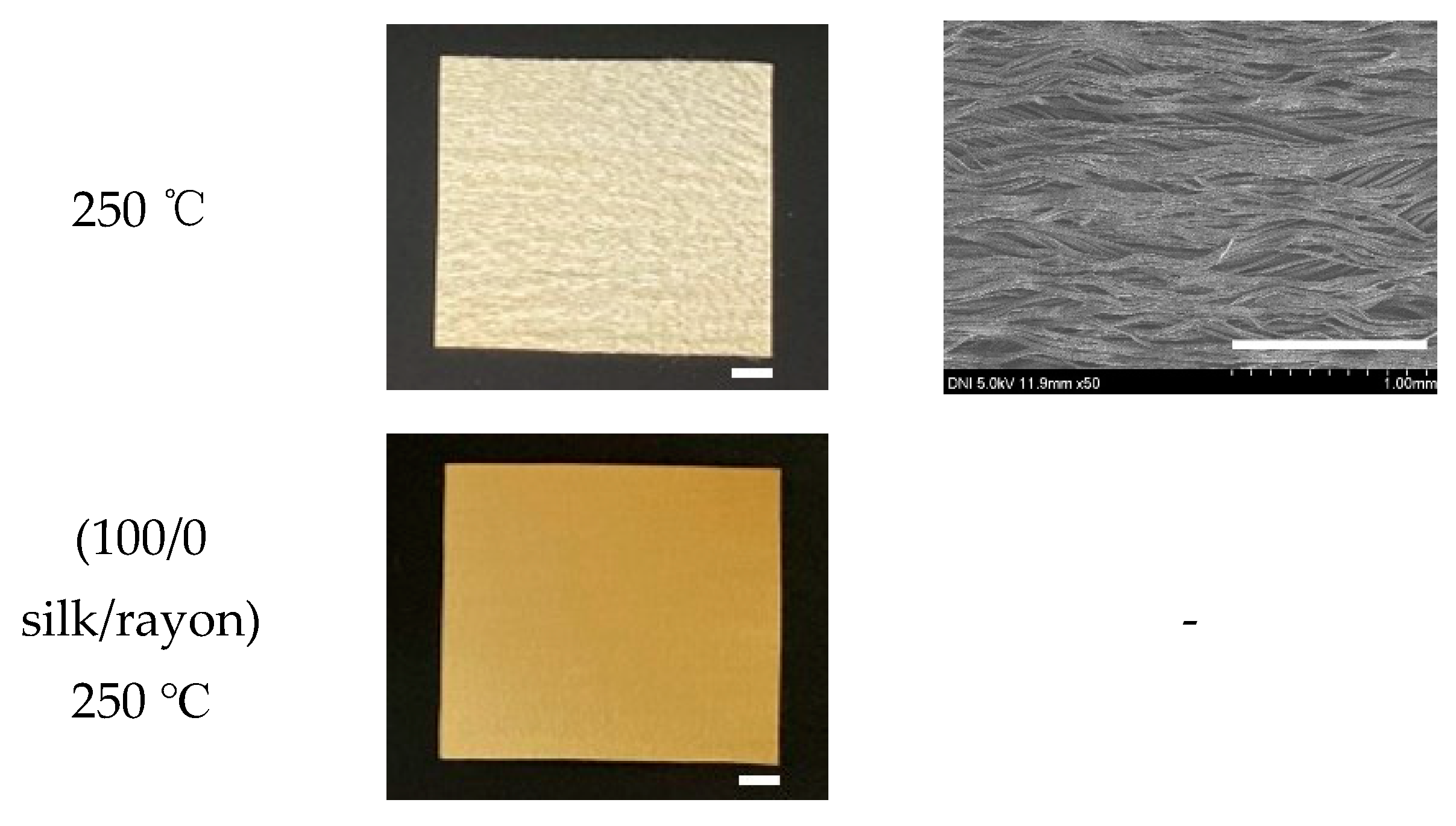 Ijms 23 07511 g007b 550