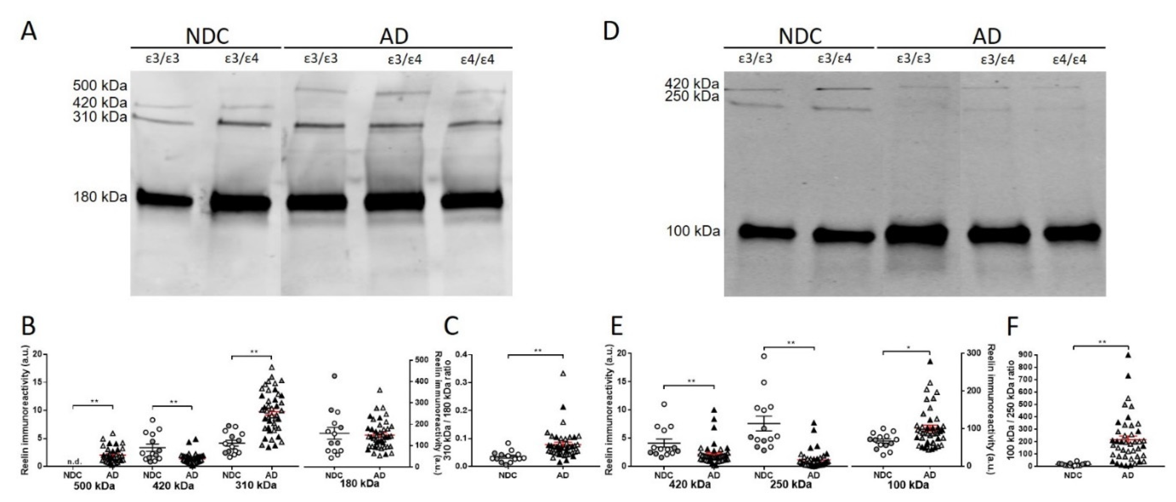 Ijms 23 07522 g002 Ijms 23 07522 g002