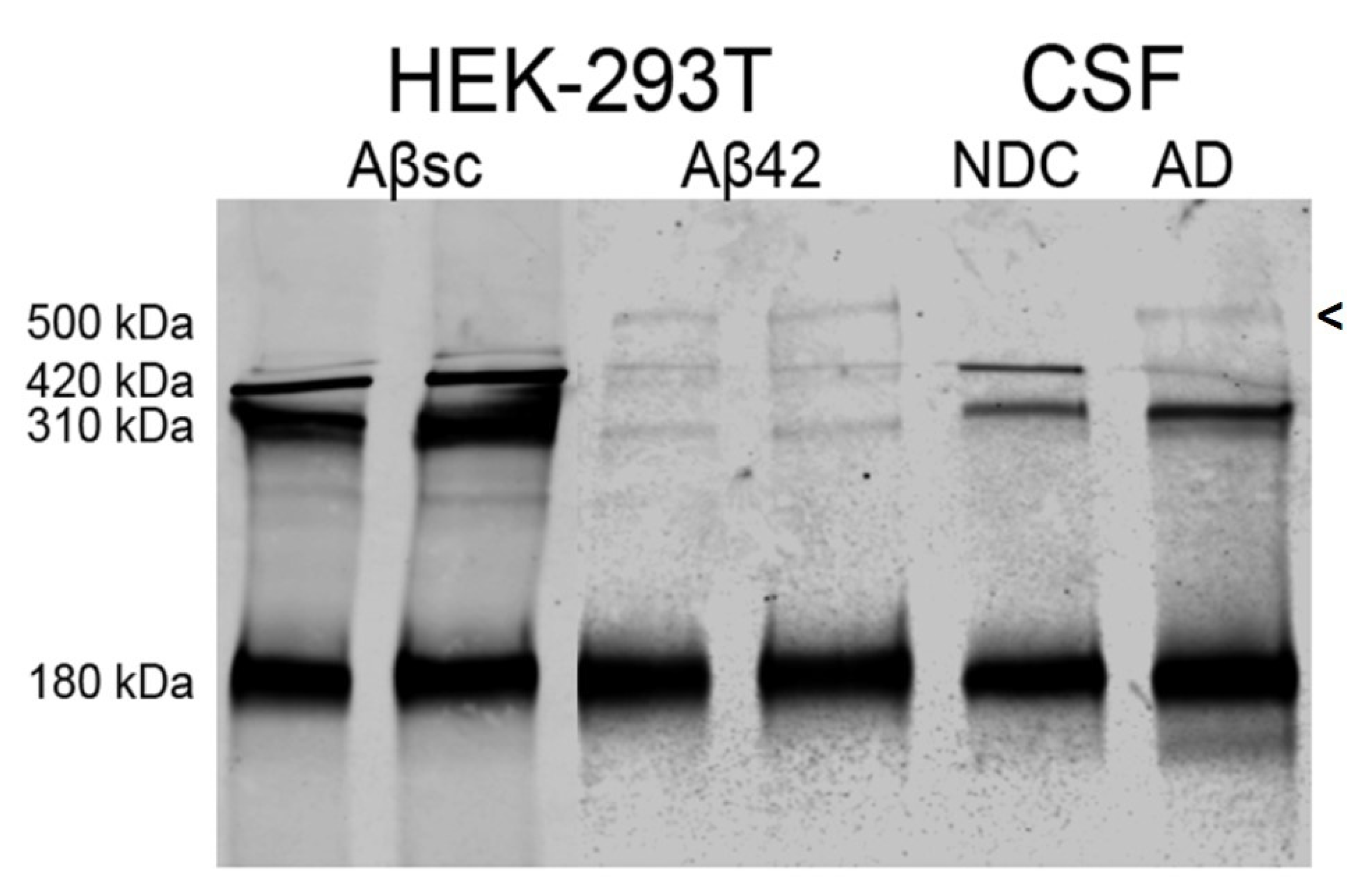 Ijms 23 07522 g003 Ijms 23 07522 g003