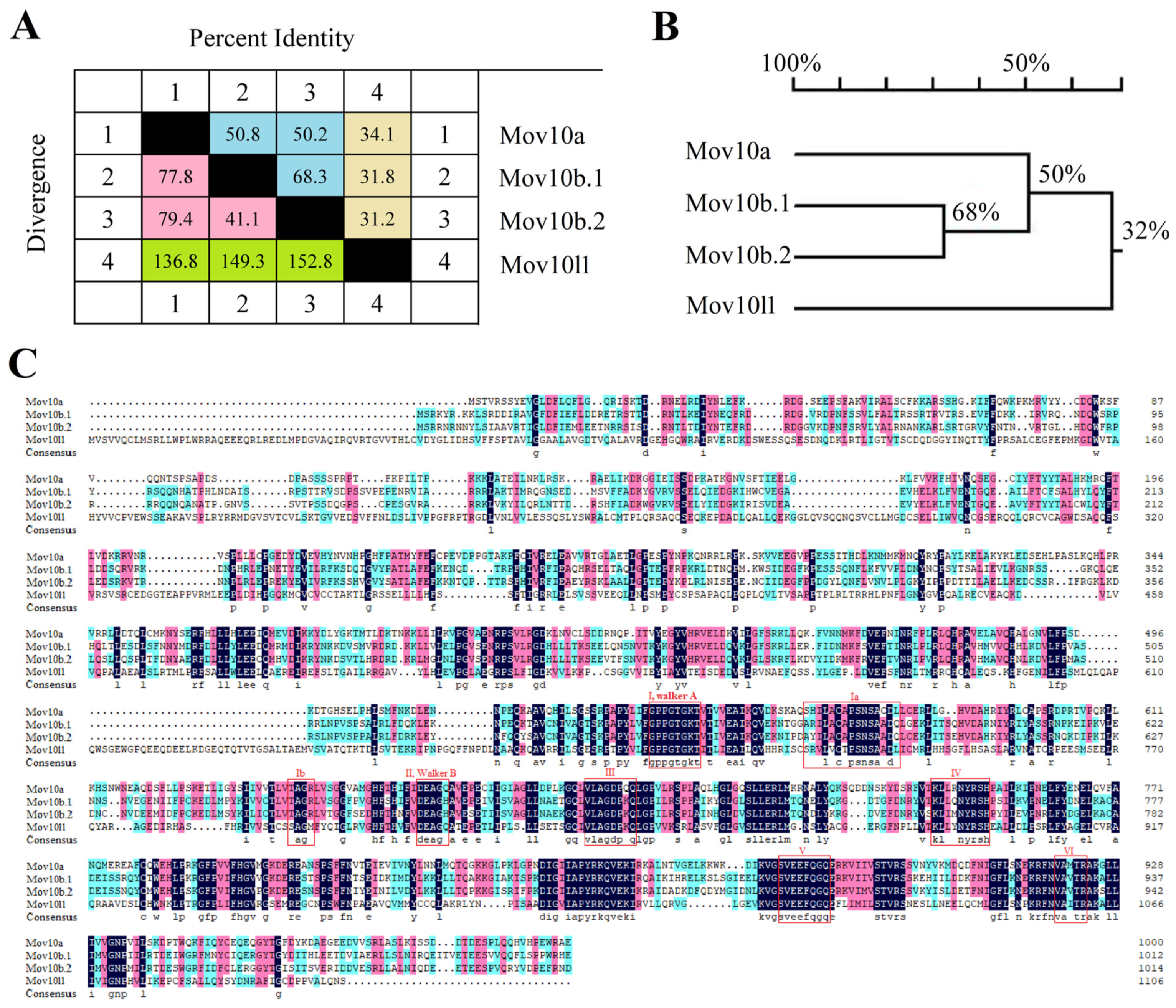 Ijms 23 07523 g001 550