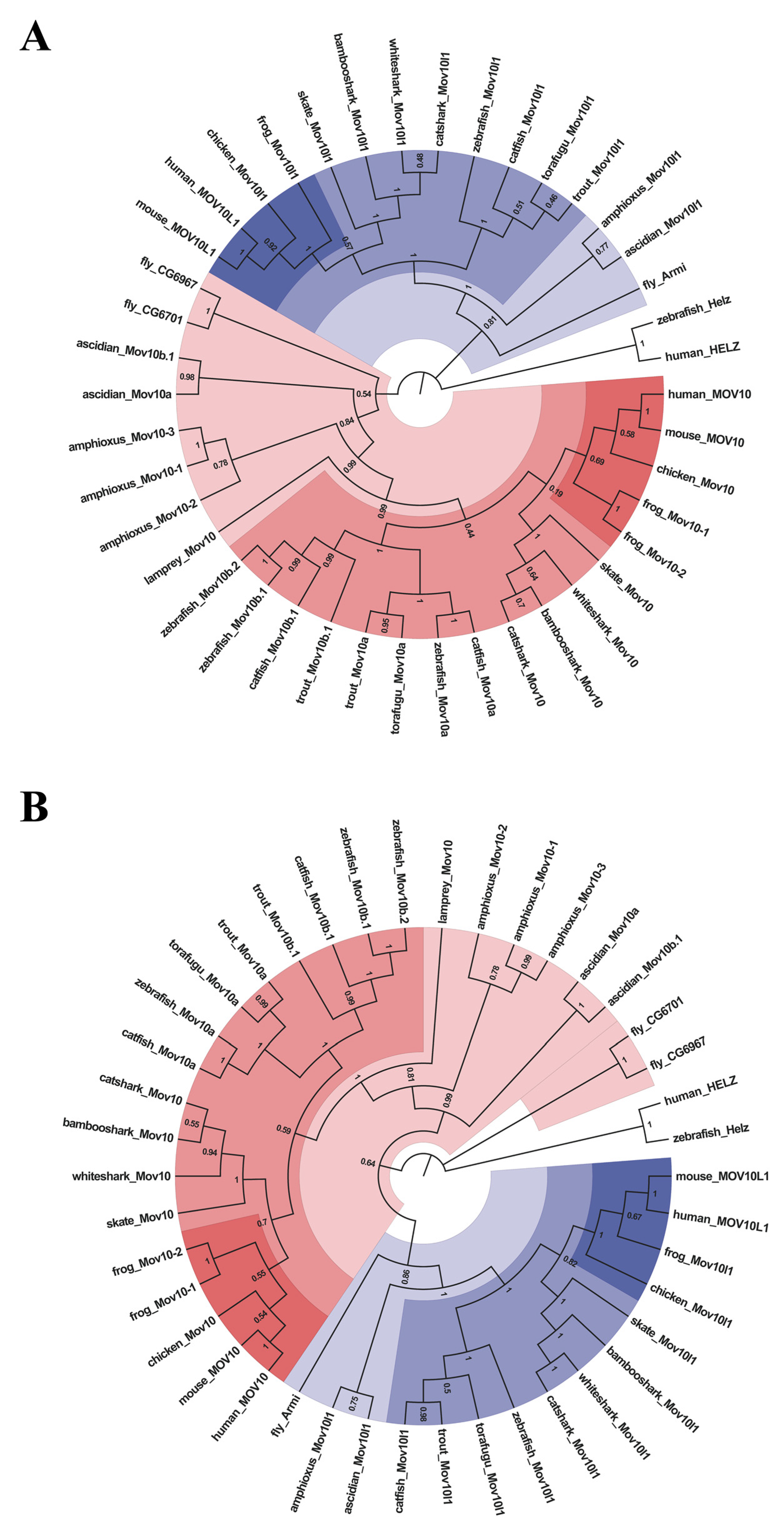 Ijms 23 07523 g002 550