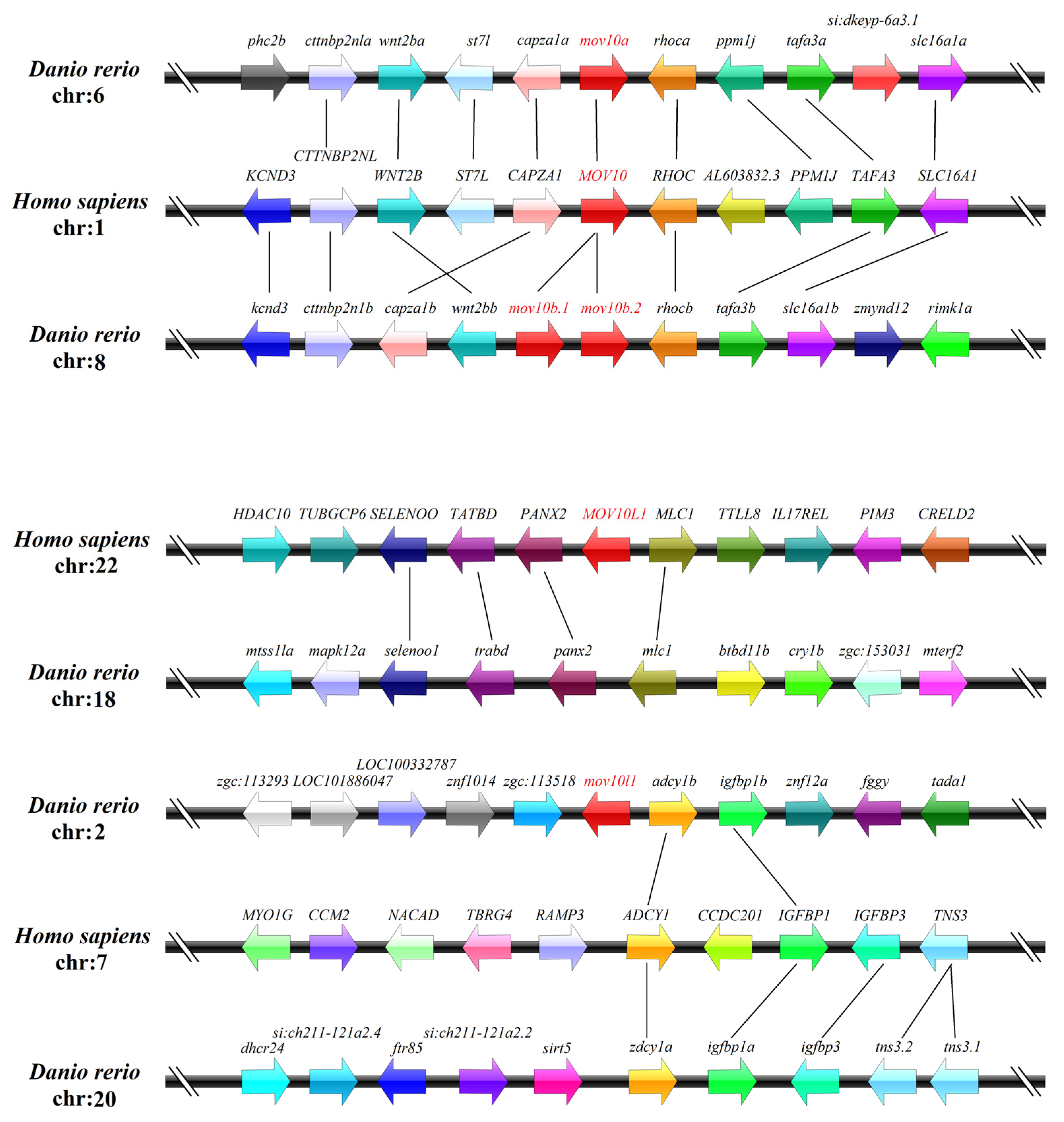 Ijms 23 07523 g004 550