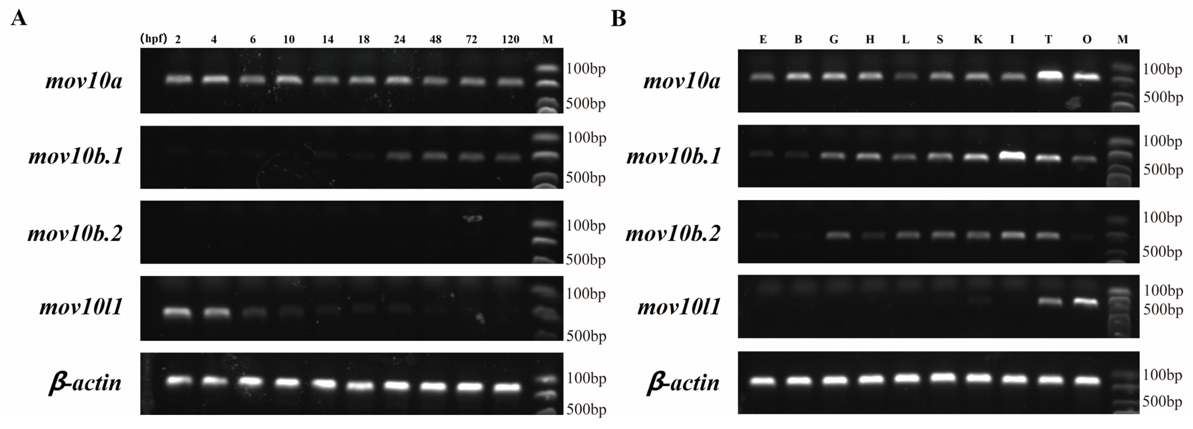Ijms 23 07523 g008 550