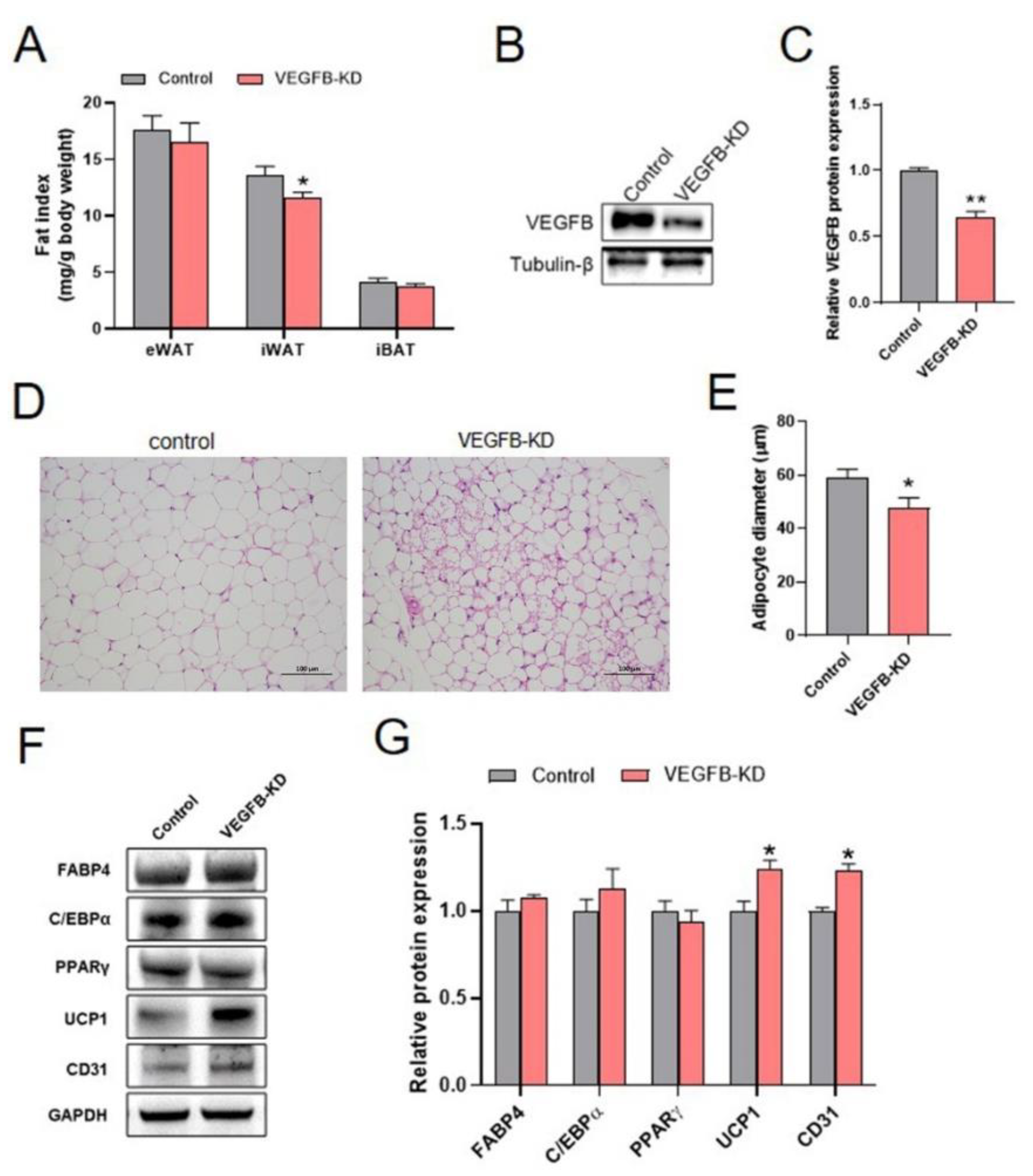 Ijms 23 07524 g002 550