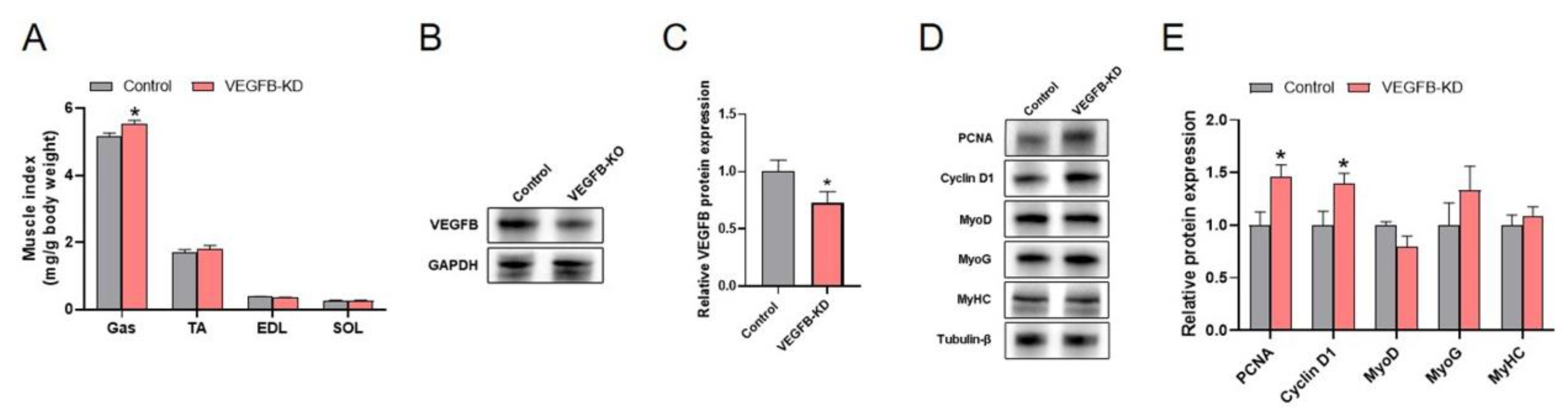 Ijms 23 07524 g003 550