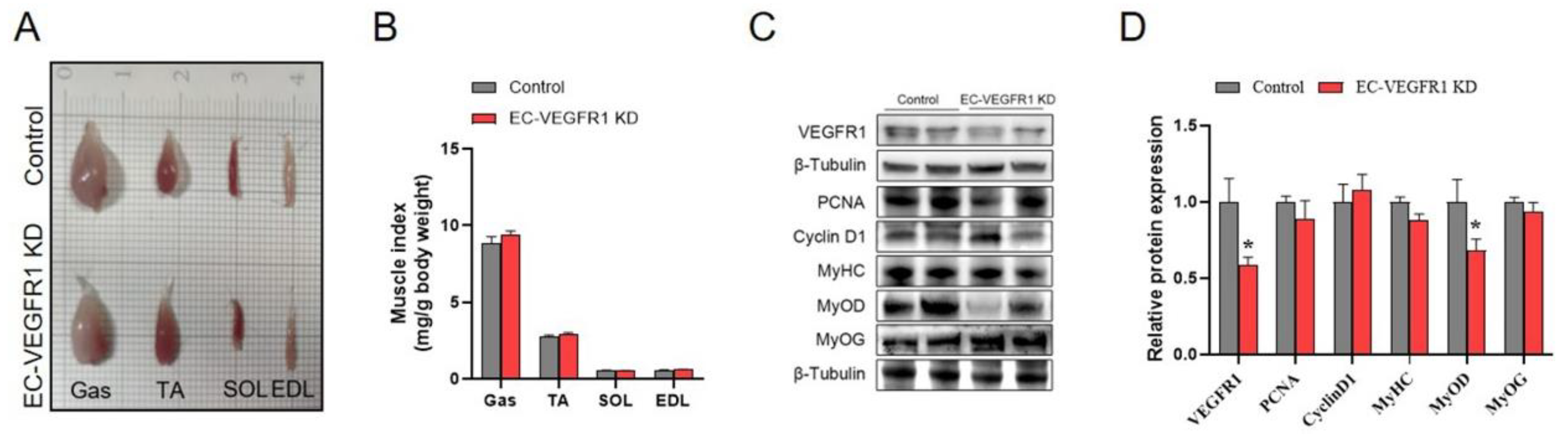 Ijms 23 07524 g006 550