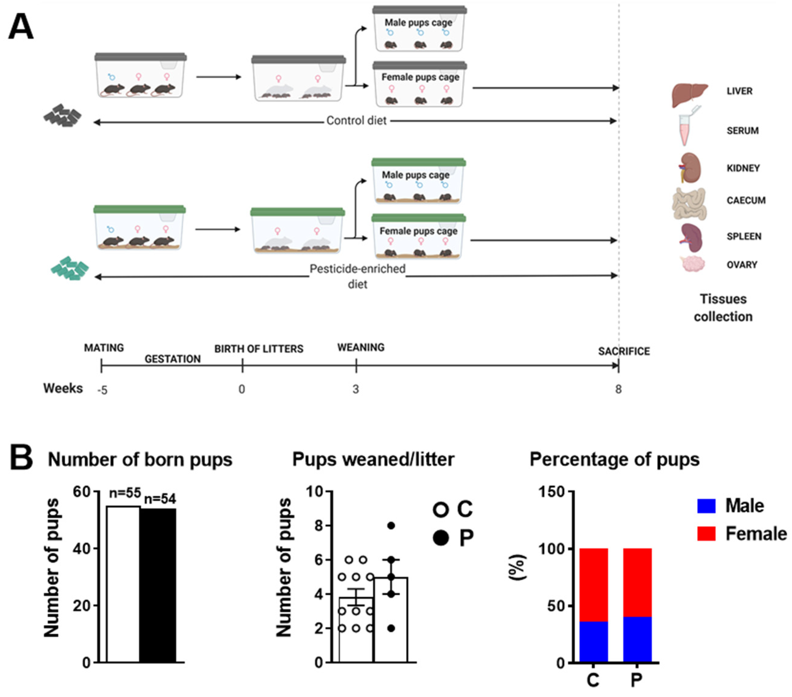 Ijms 23 07525 g001 550