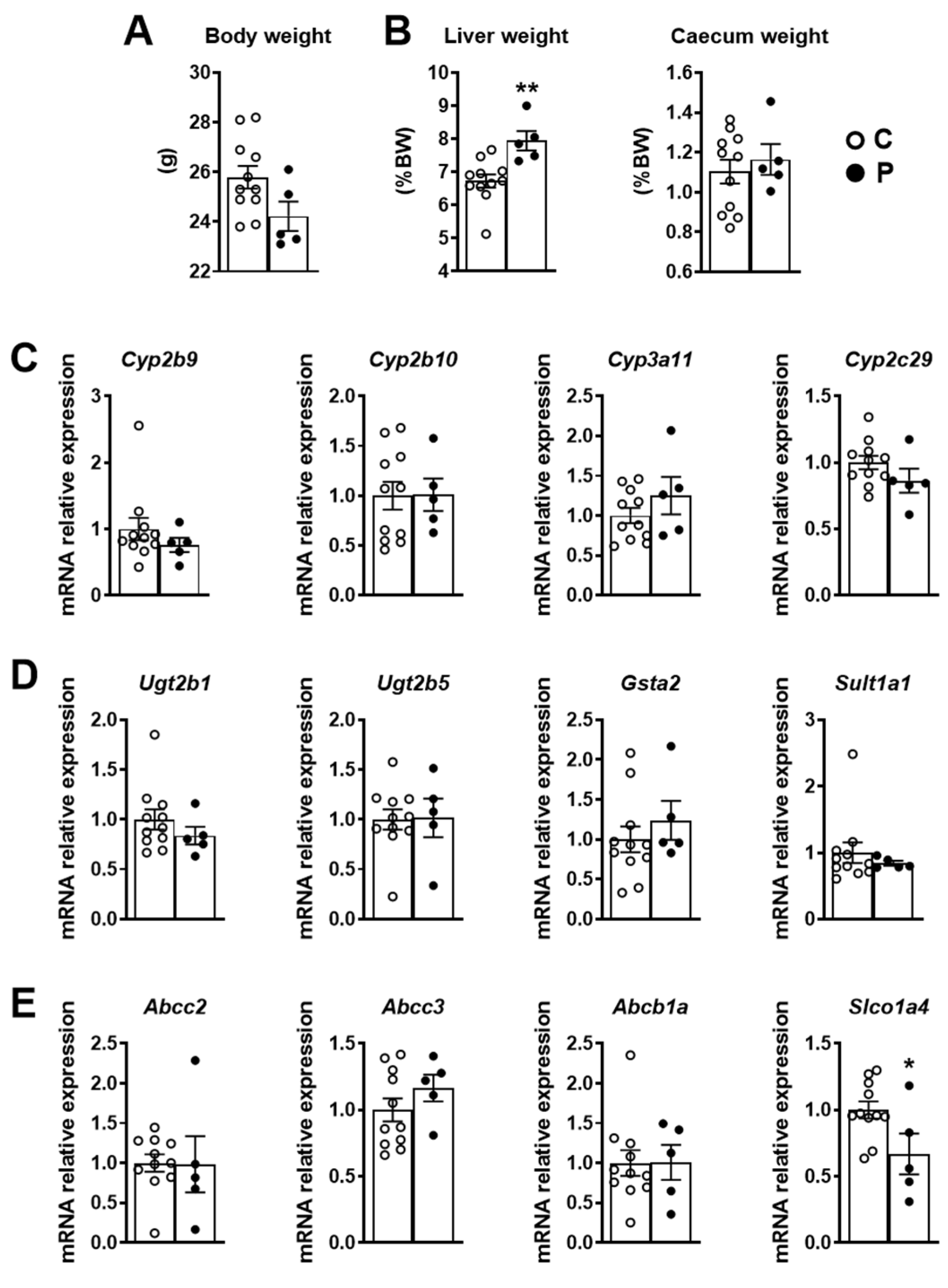Ijms 23 07525 g002 550