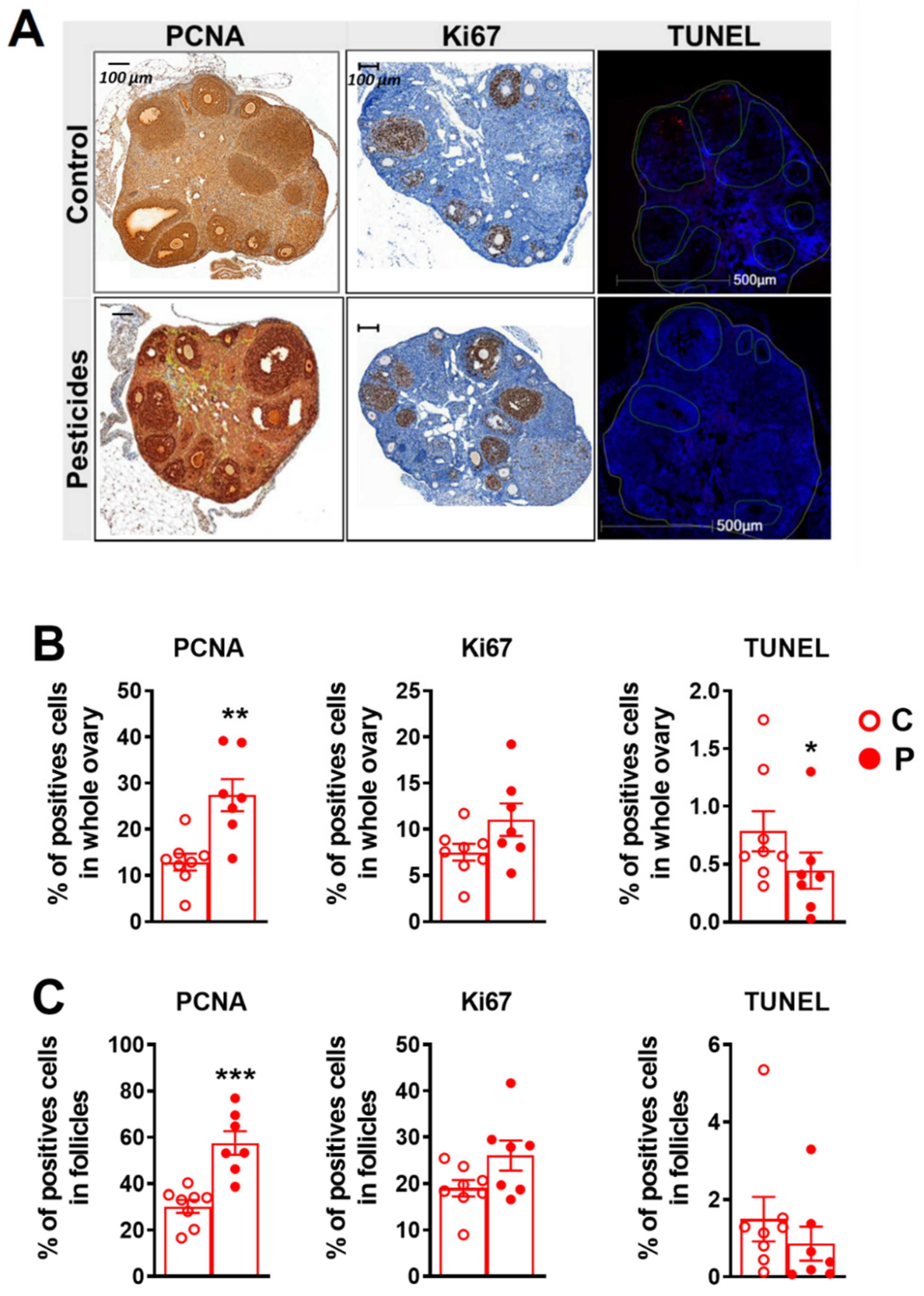 Ijms 23 07525 g005 550