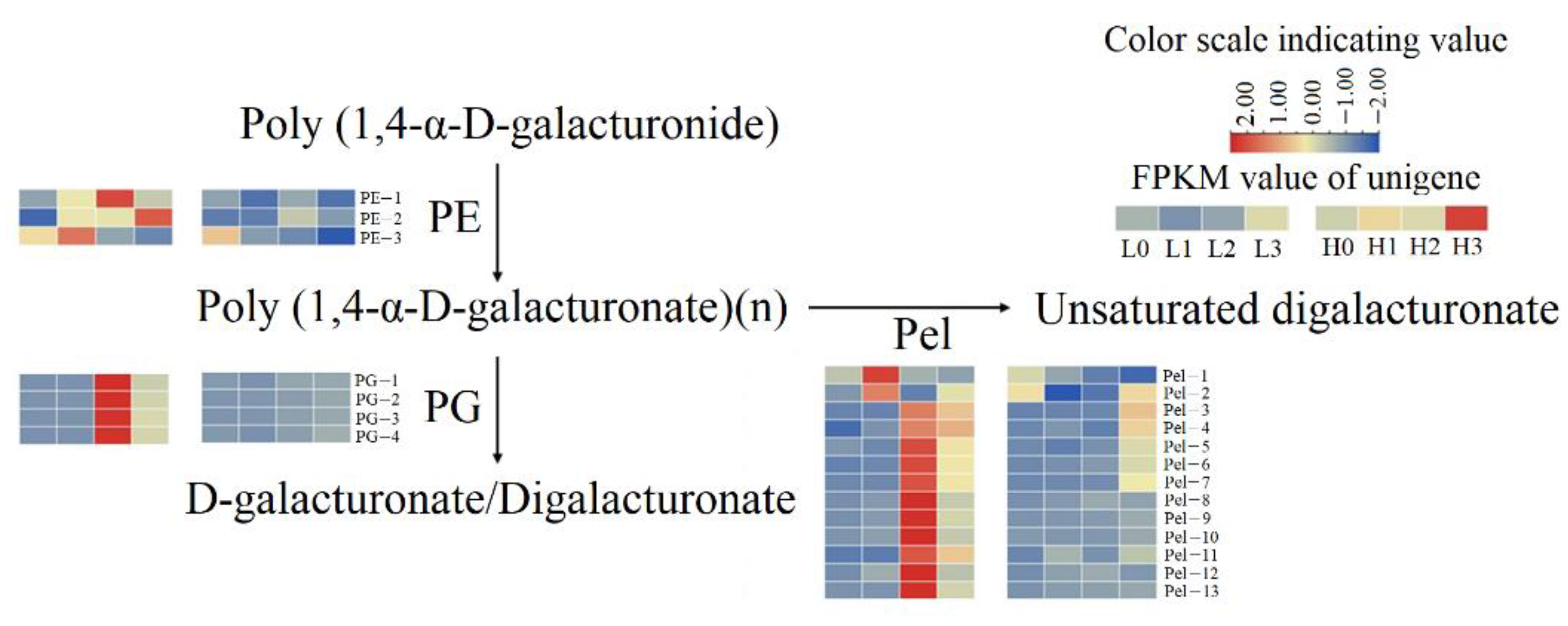 Ijms 23 07528 g006 550