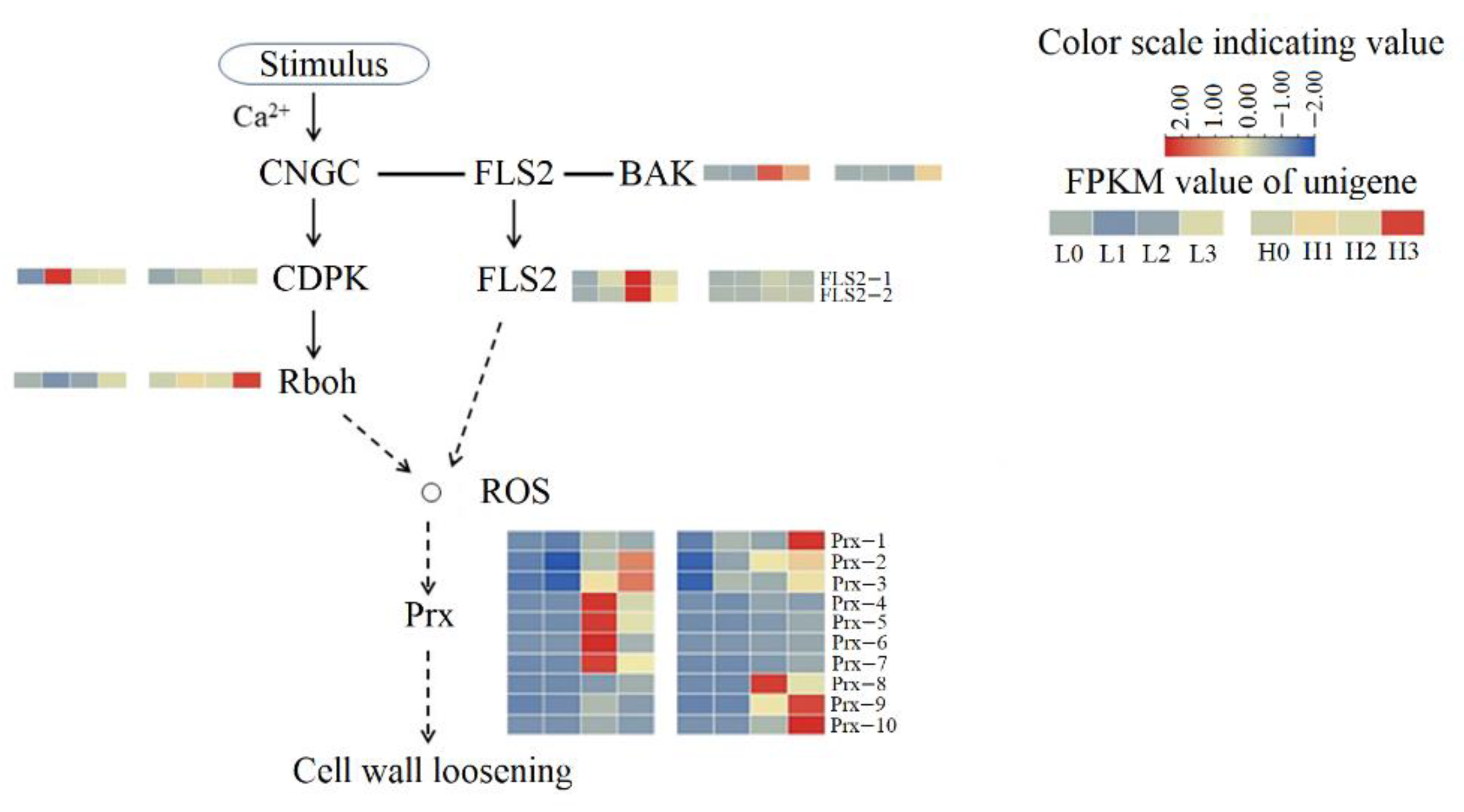 Ijms 23 07528 g007 550